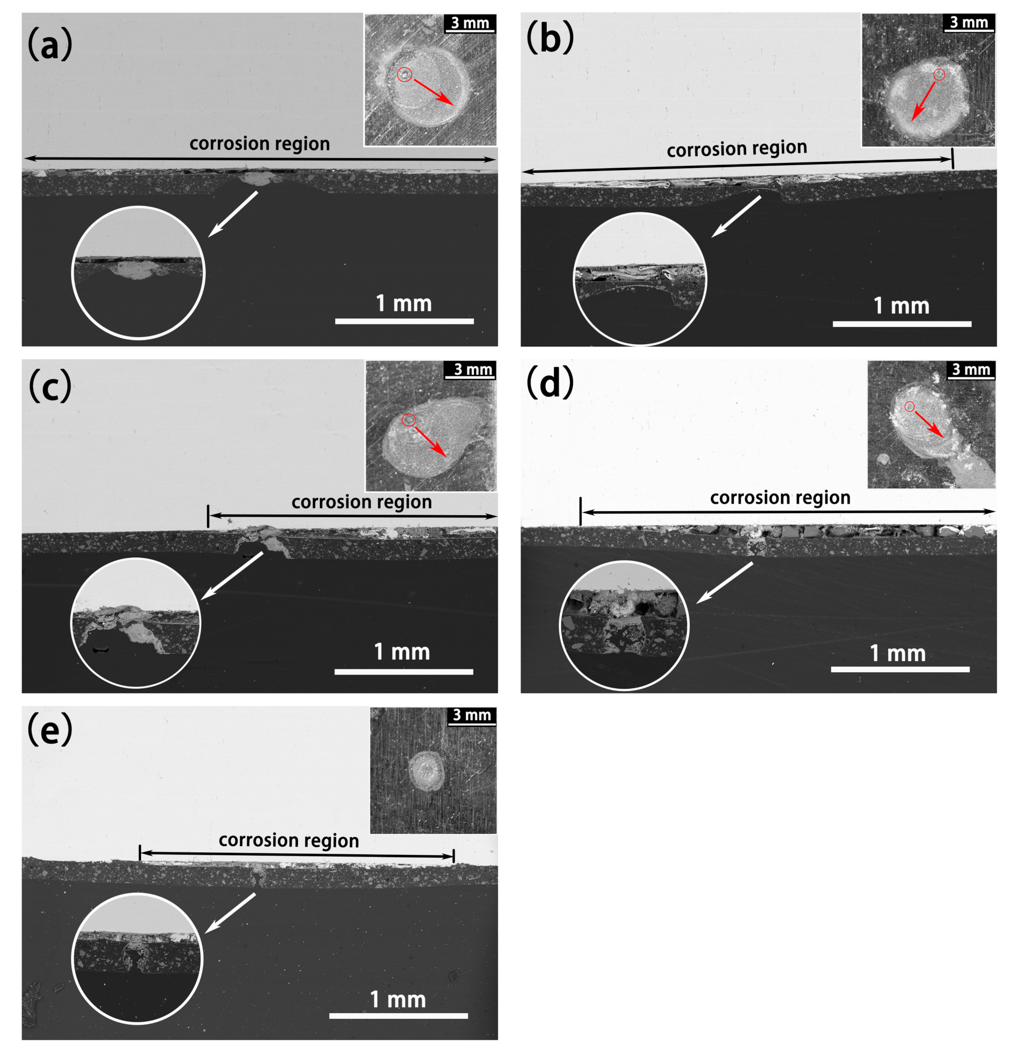Coatings 11 00439 g016