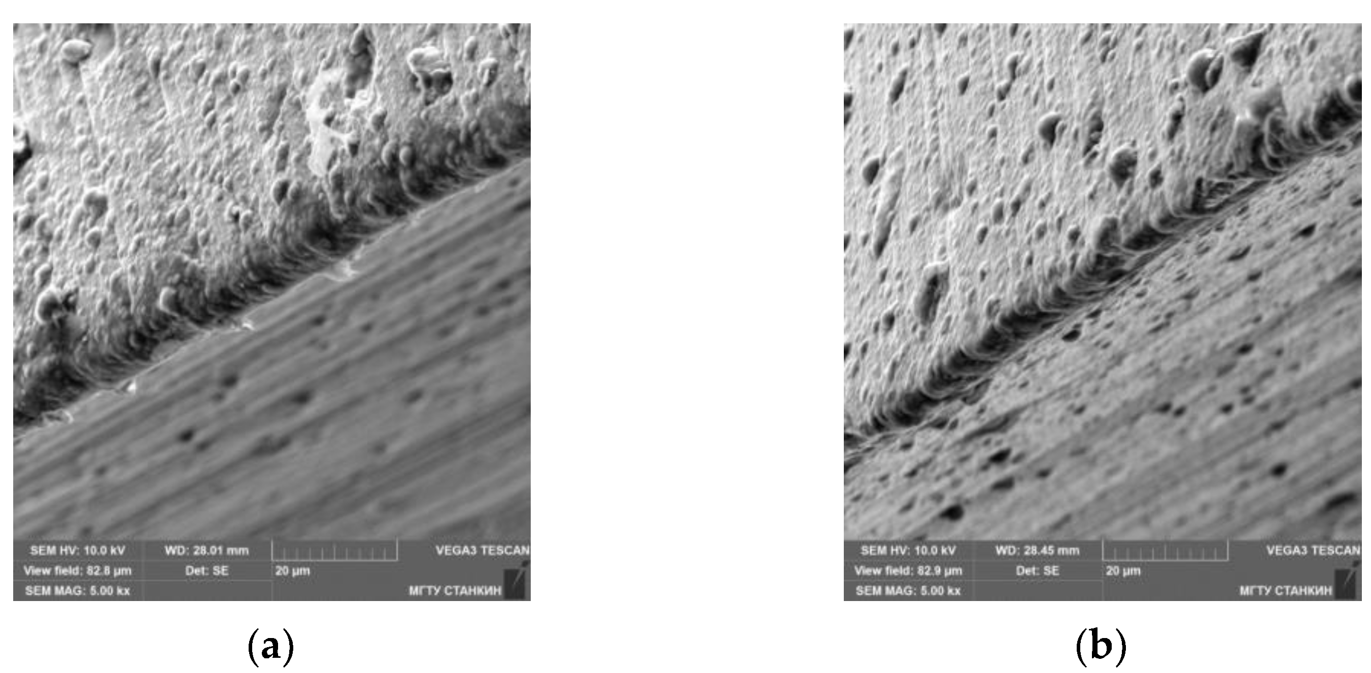 Coatings 11 00465 g013