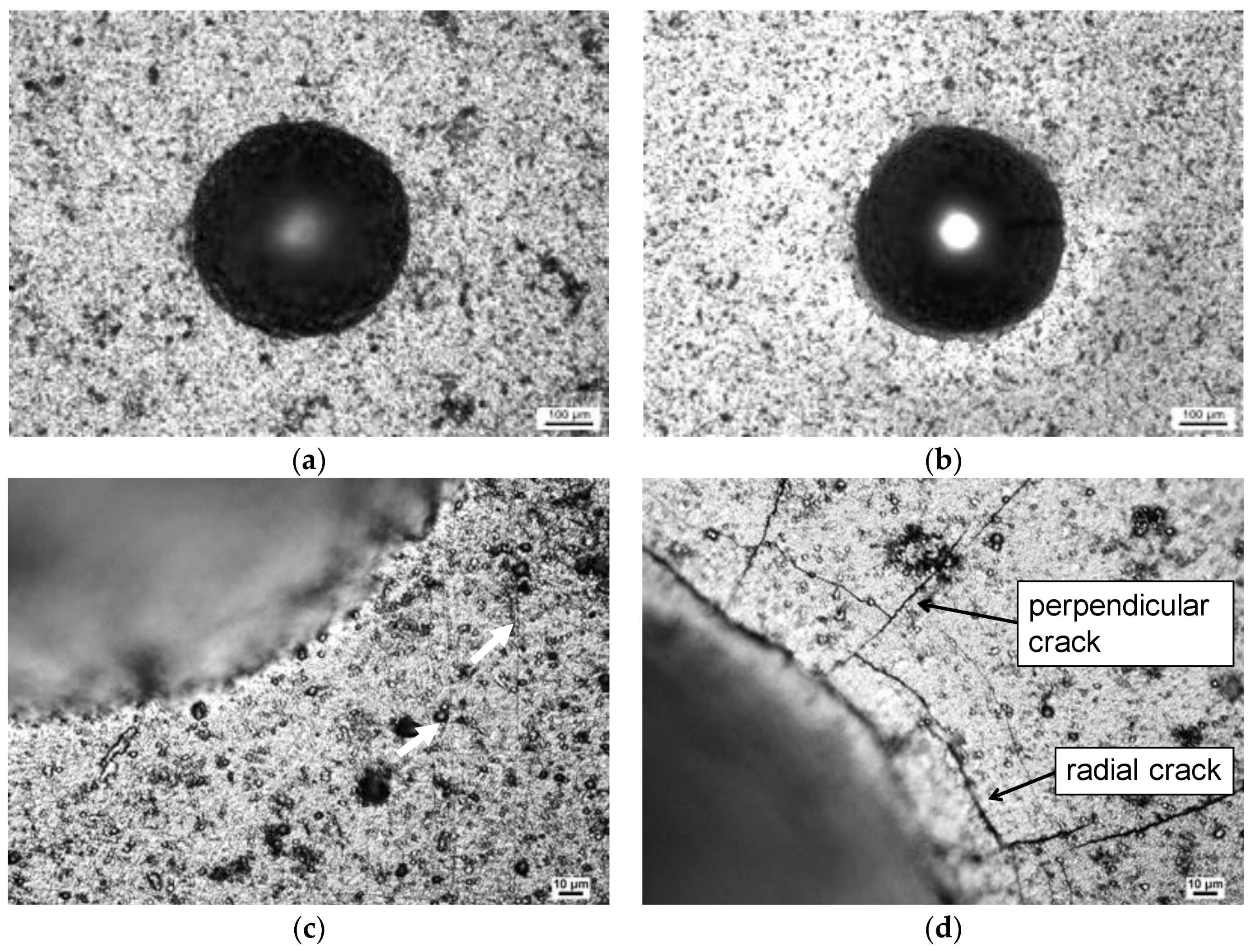 Coatings 11 00475 g003 Coatings 11 00475 g003