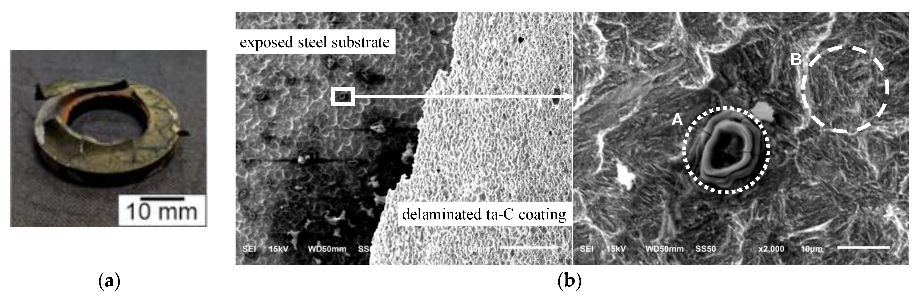 Coatings 11 00475 g013 Coatings 11 00475 g013