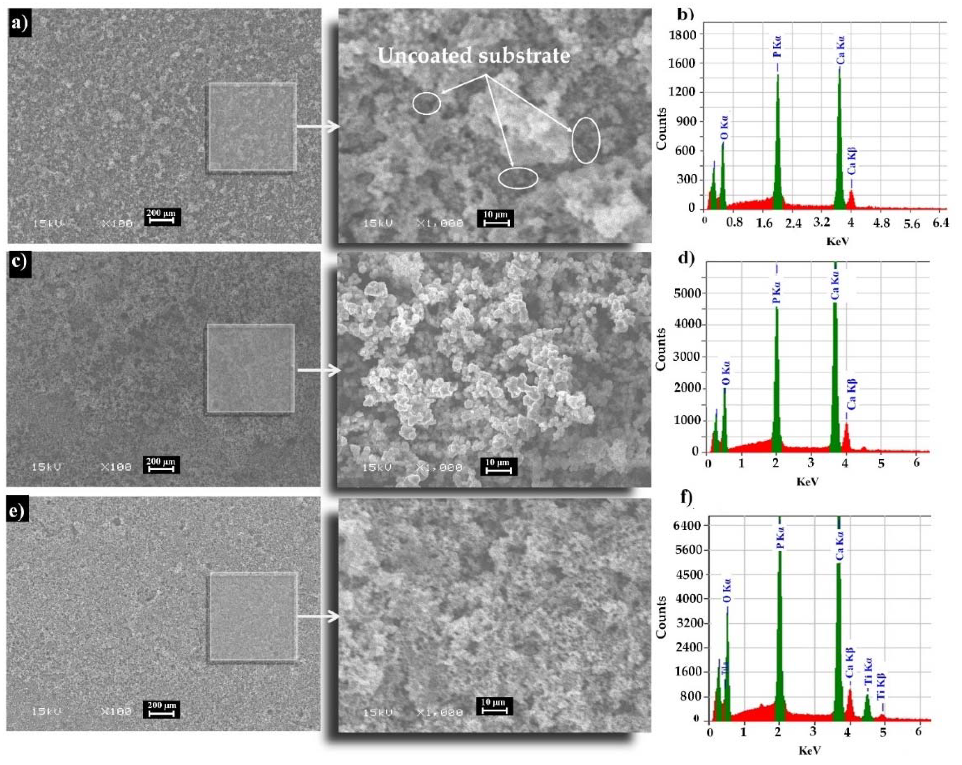 Coatings 11 00477 g002 Coatings 11 00477 g002