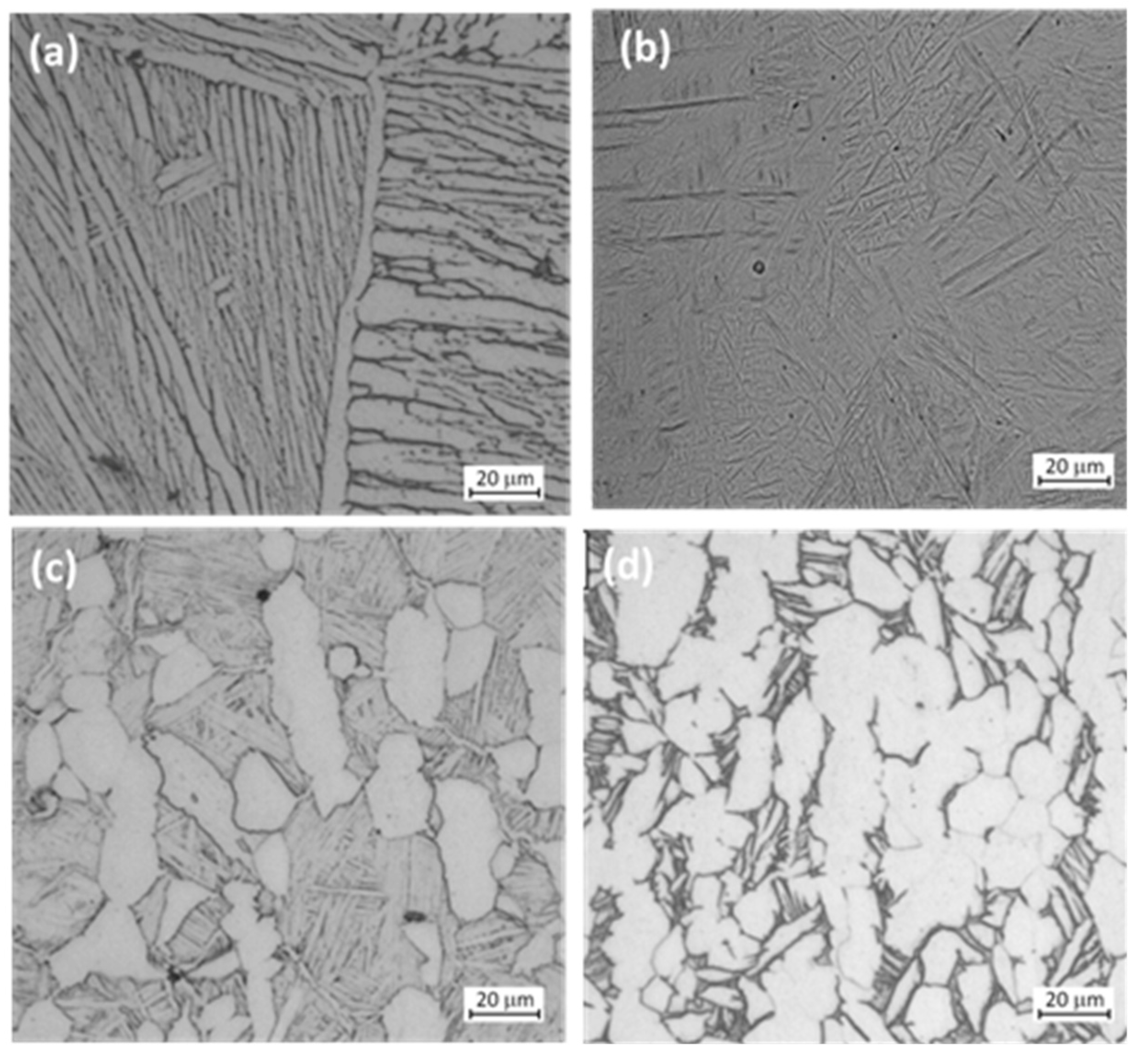Coatings 11 00487 g002