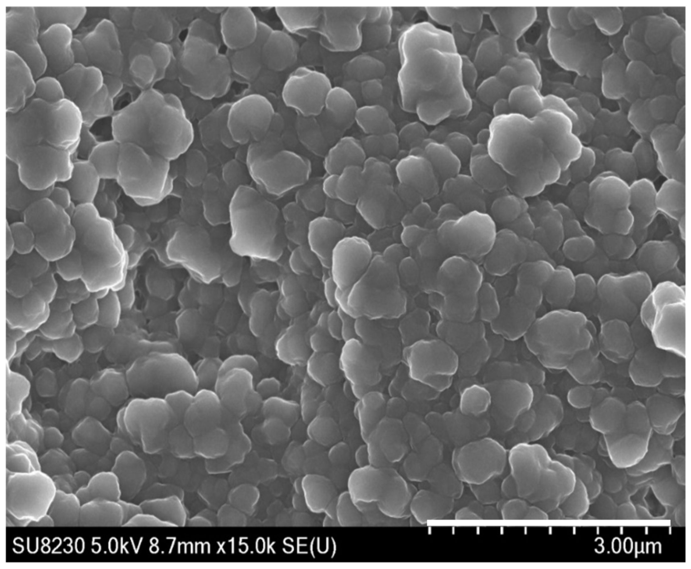 Coatings 11 00500 g005