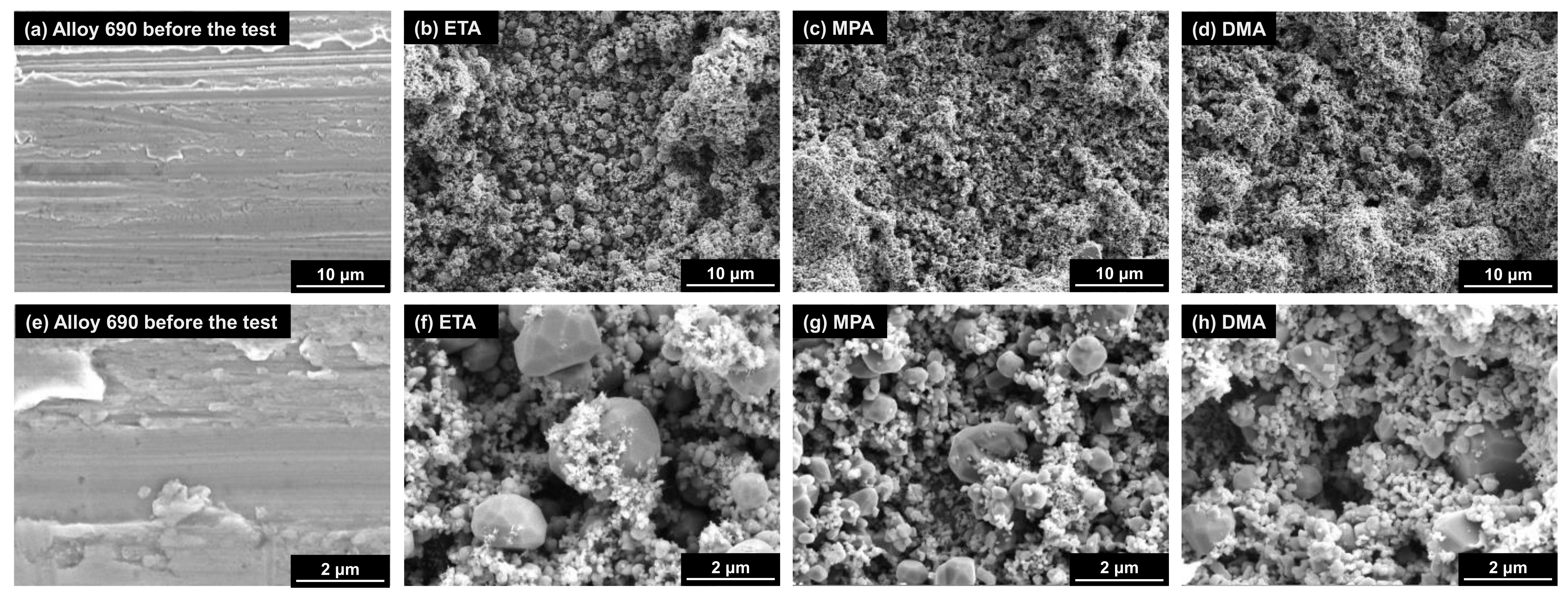 Coatings 11 00514 g005