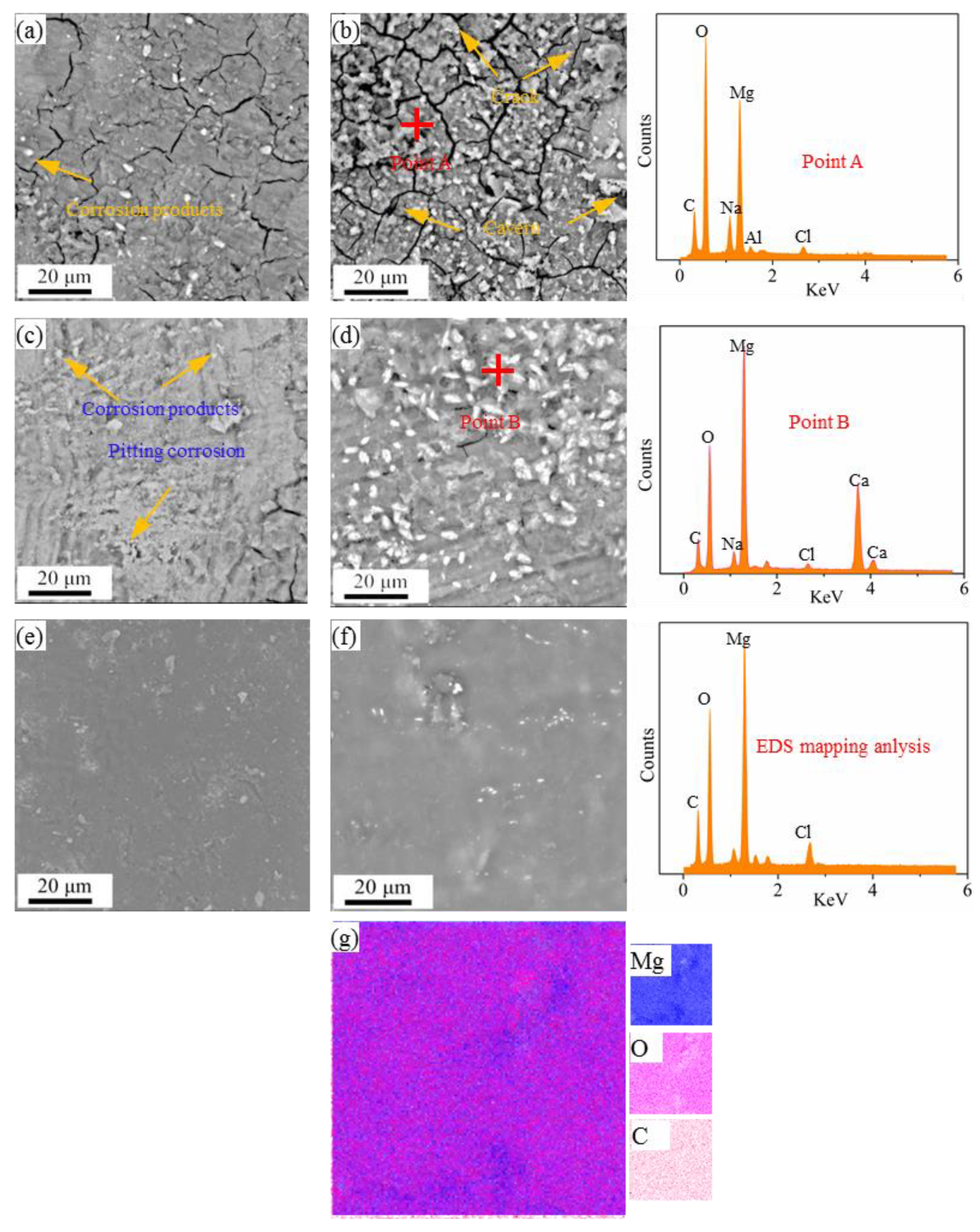 Coatings 11 00515 g005
