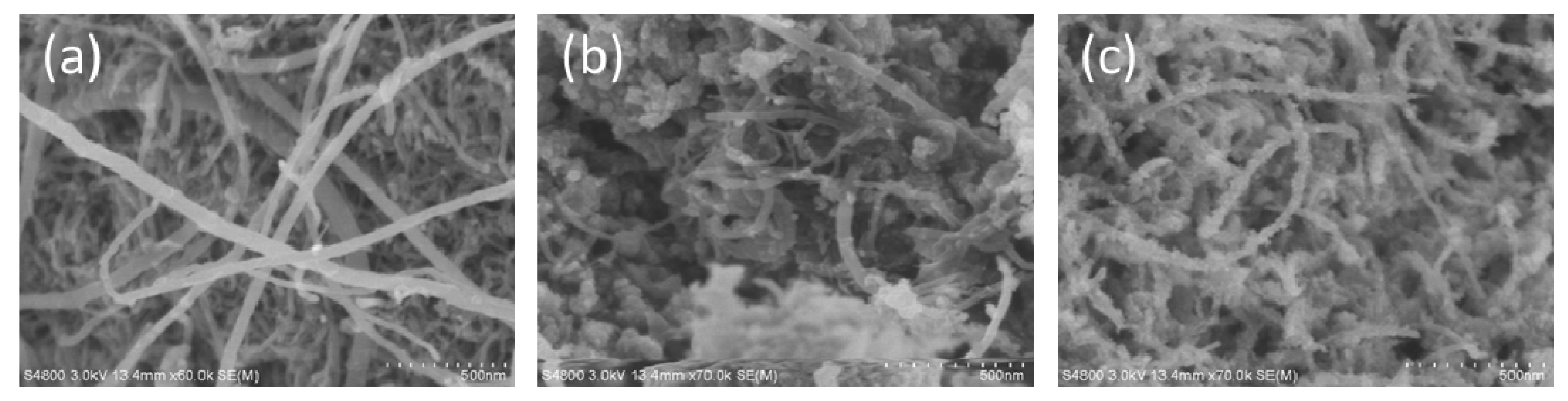 Coatings 11 00534 g003