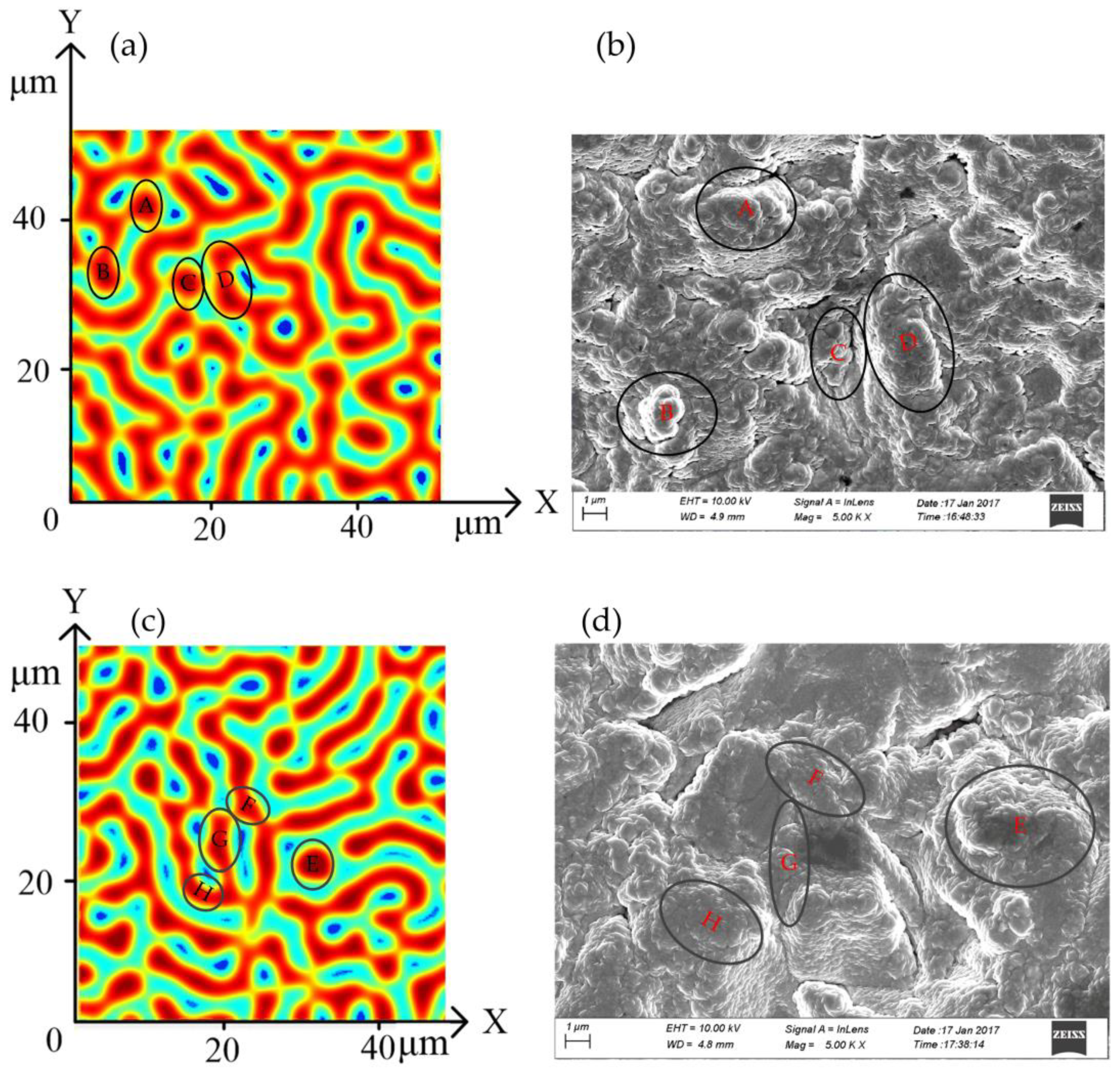 Coatings 11 00540 g009