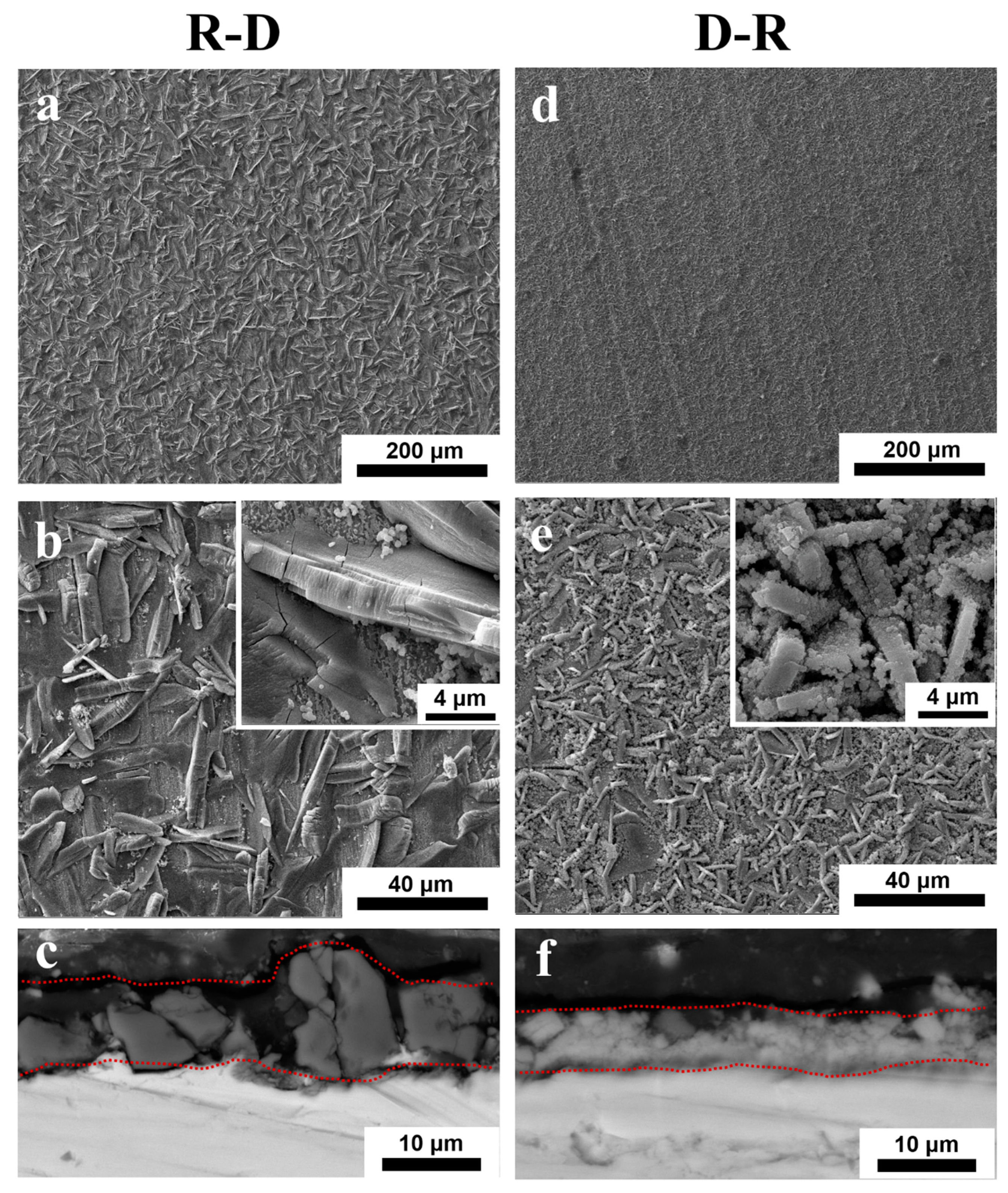 Coatings 11 00541 g002 Coatings 11 00541 g002