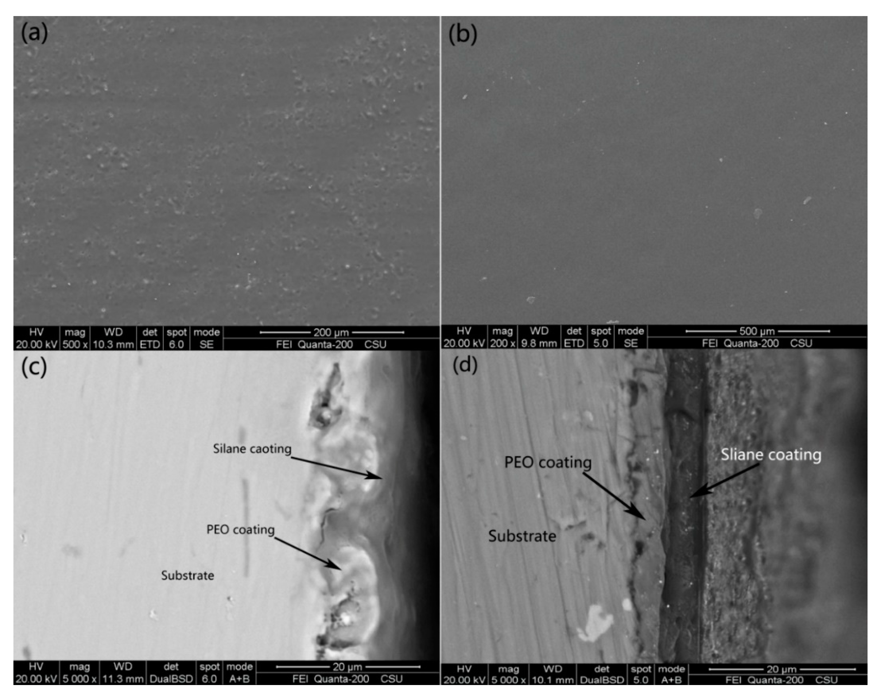 Coatings 11 00549 g003