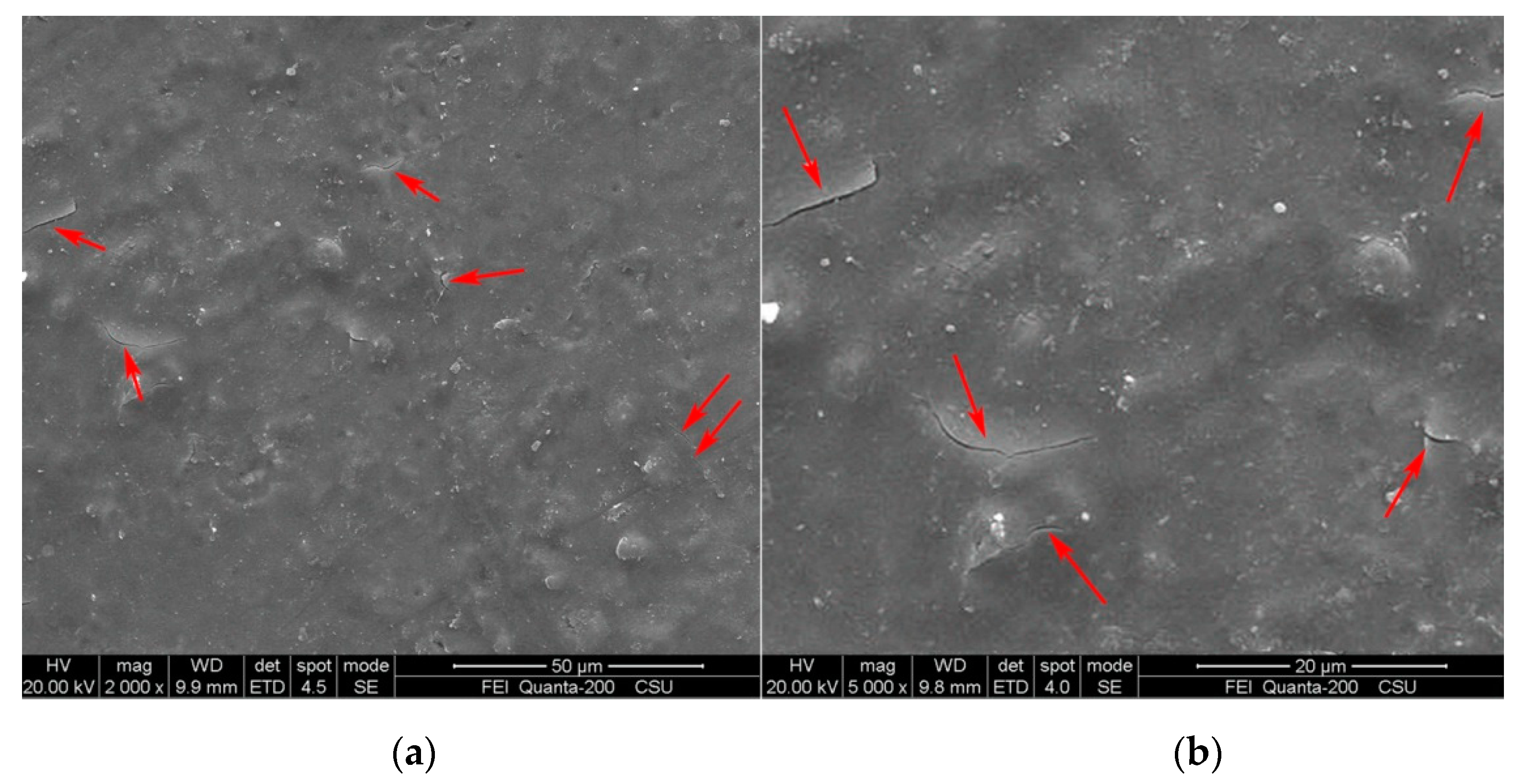 Coatings 11 00549 g008