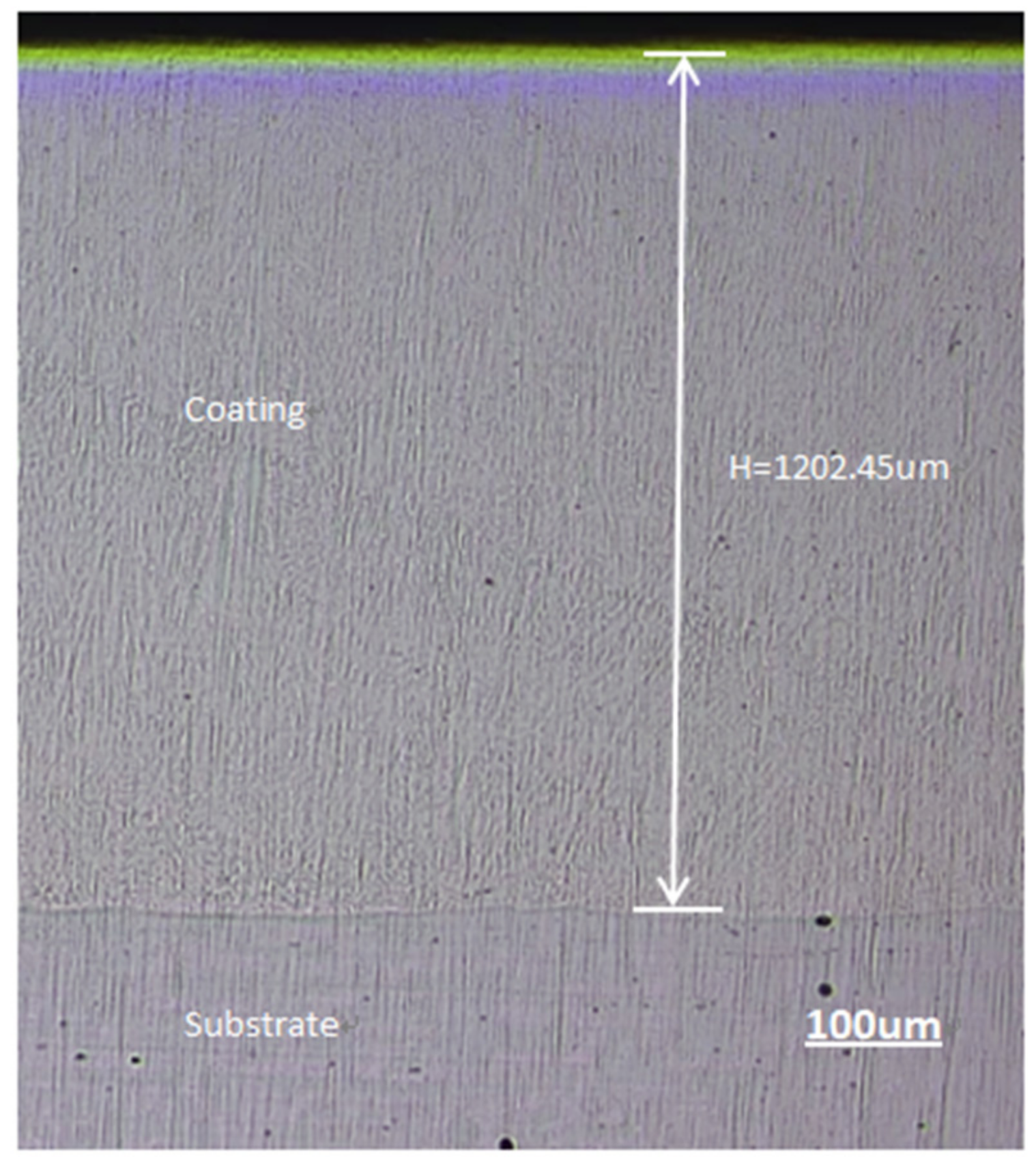 Coatings 11 00552 g001