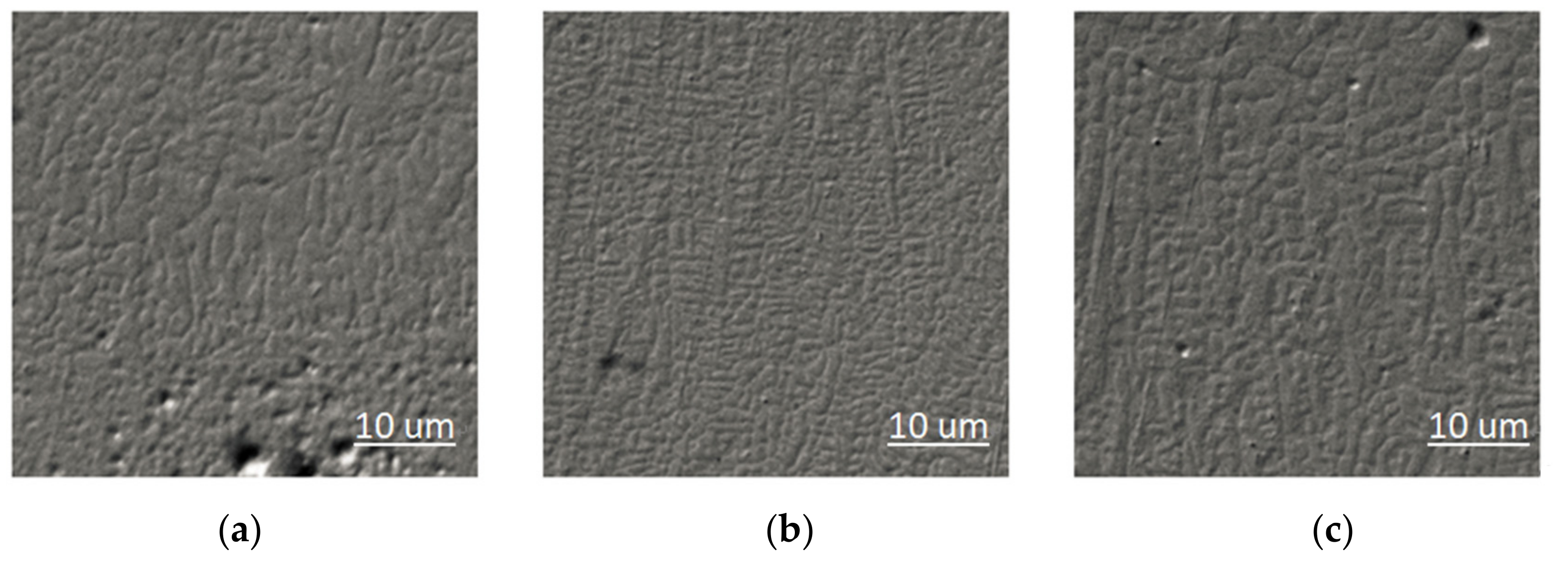 Coatings 11 00552 g003