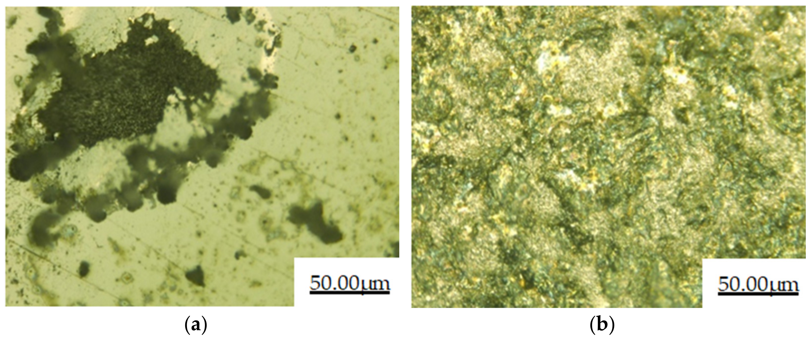 Coatings 11 00552 g008