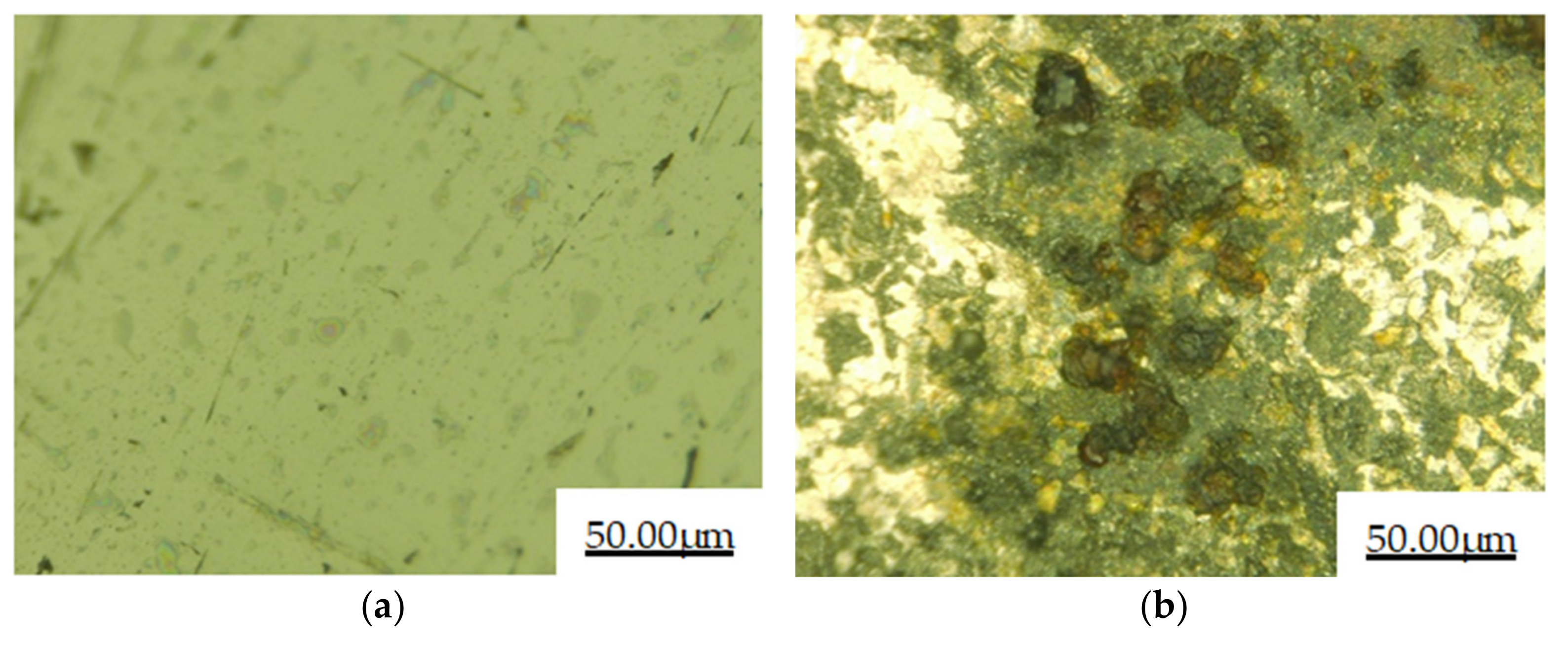 Coatings 11 00552 g009