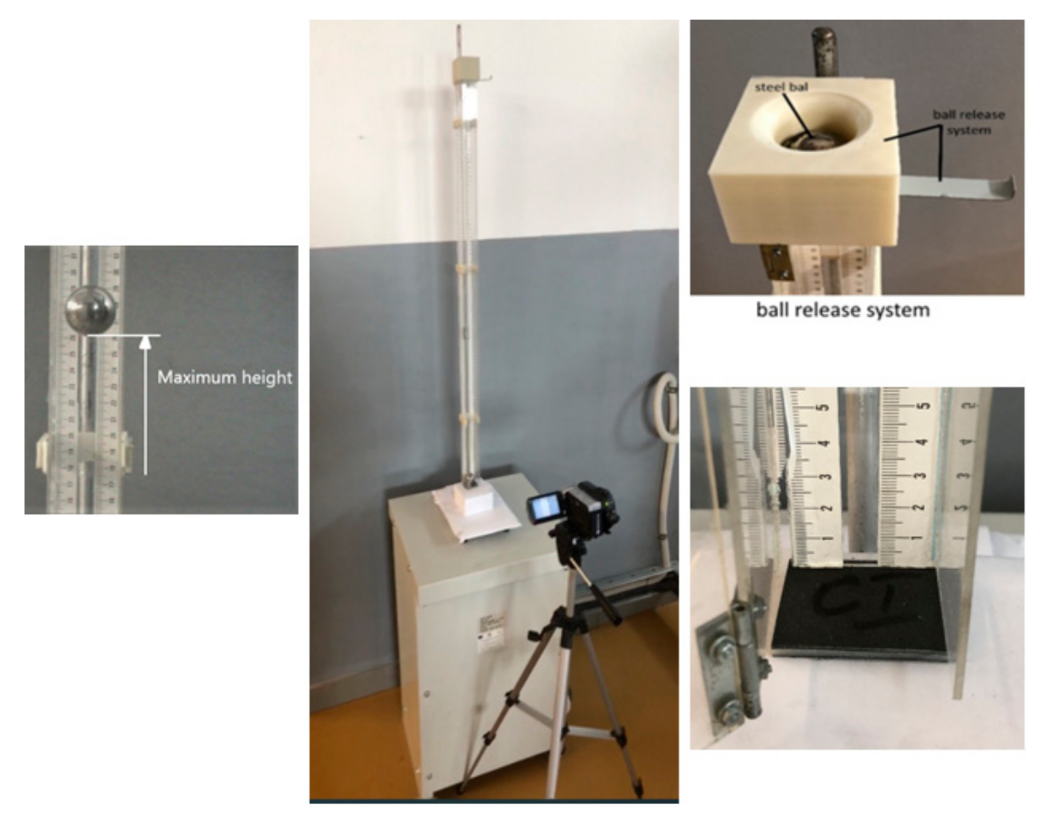 Coatings 11 00601 g004