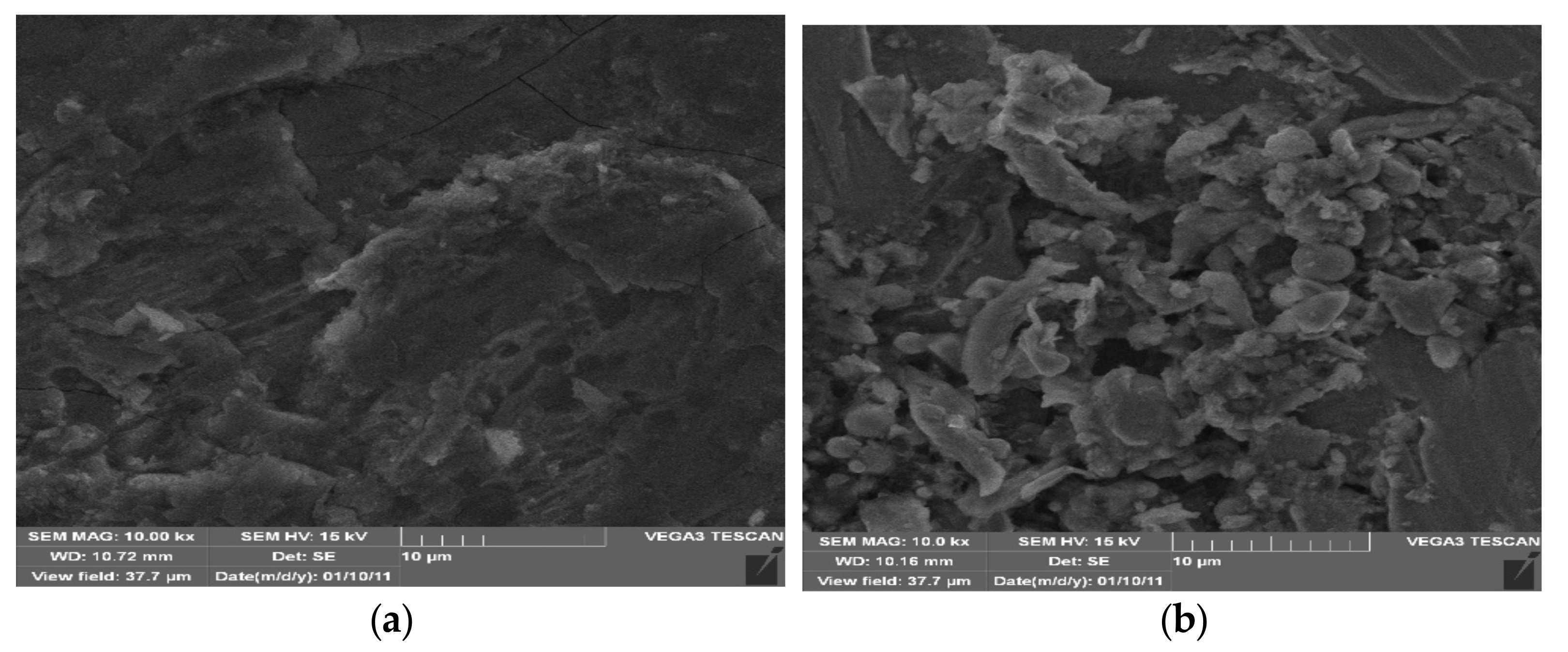 Coatings 11 00606 g012