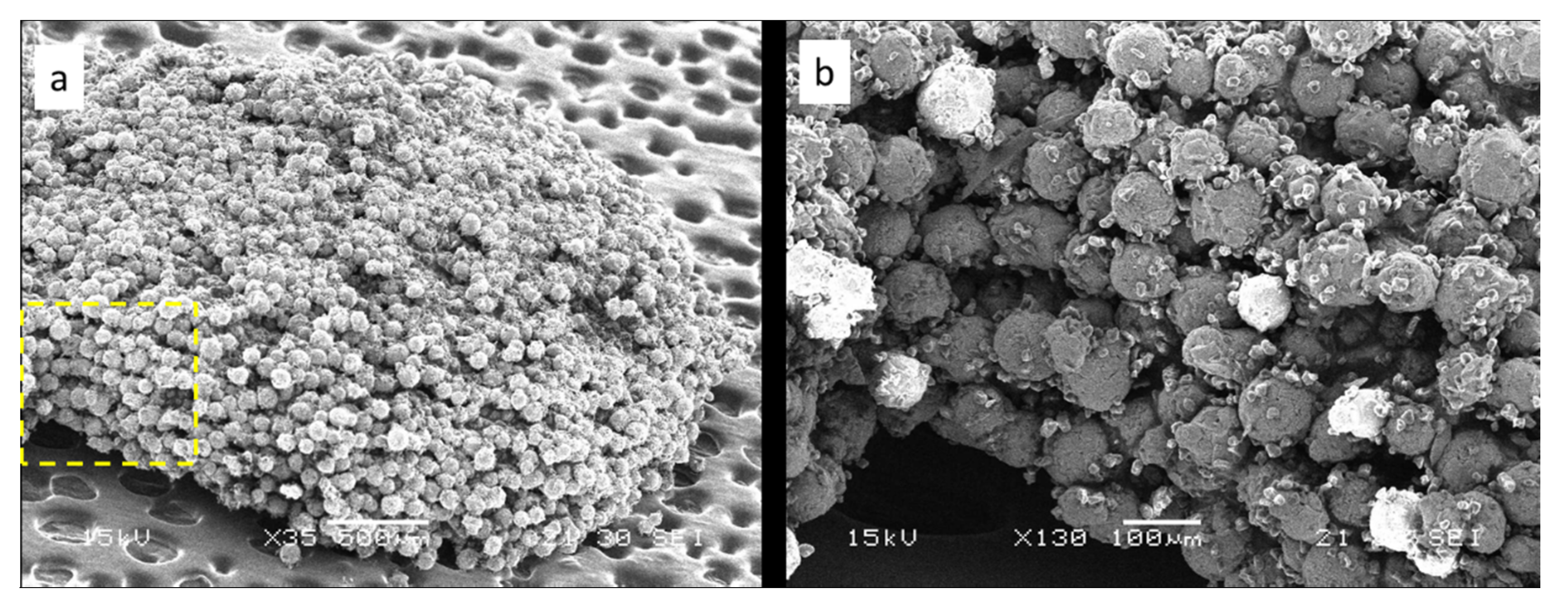 Coatings 11 00621 g004 Coatings 11 00621 g004