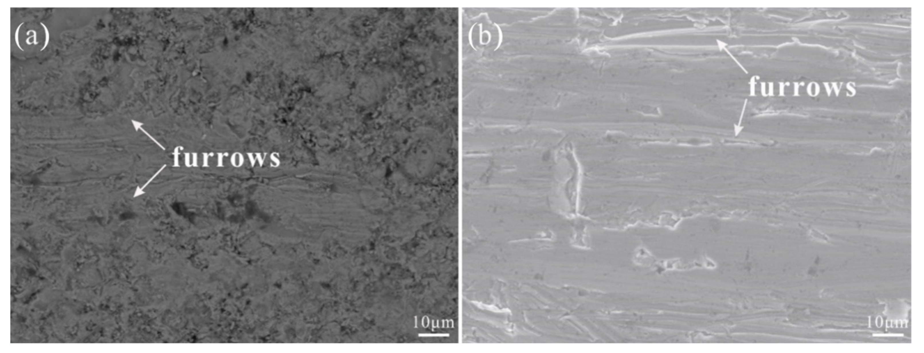 Coatings 11 00622 g005 Coatings 11 00622 g005