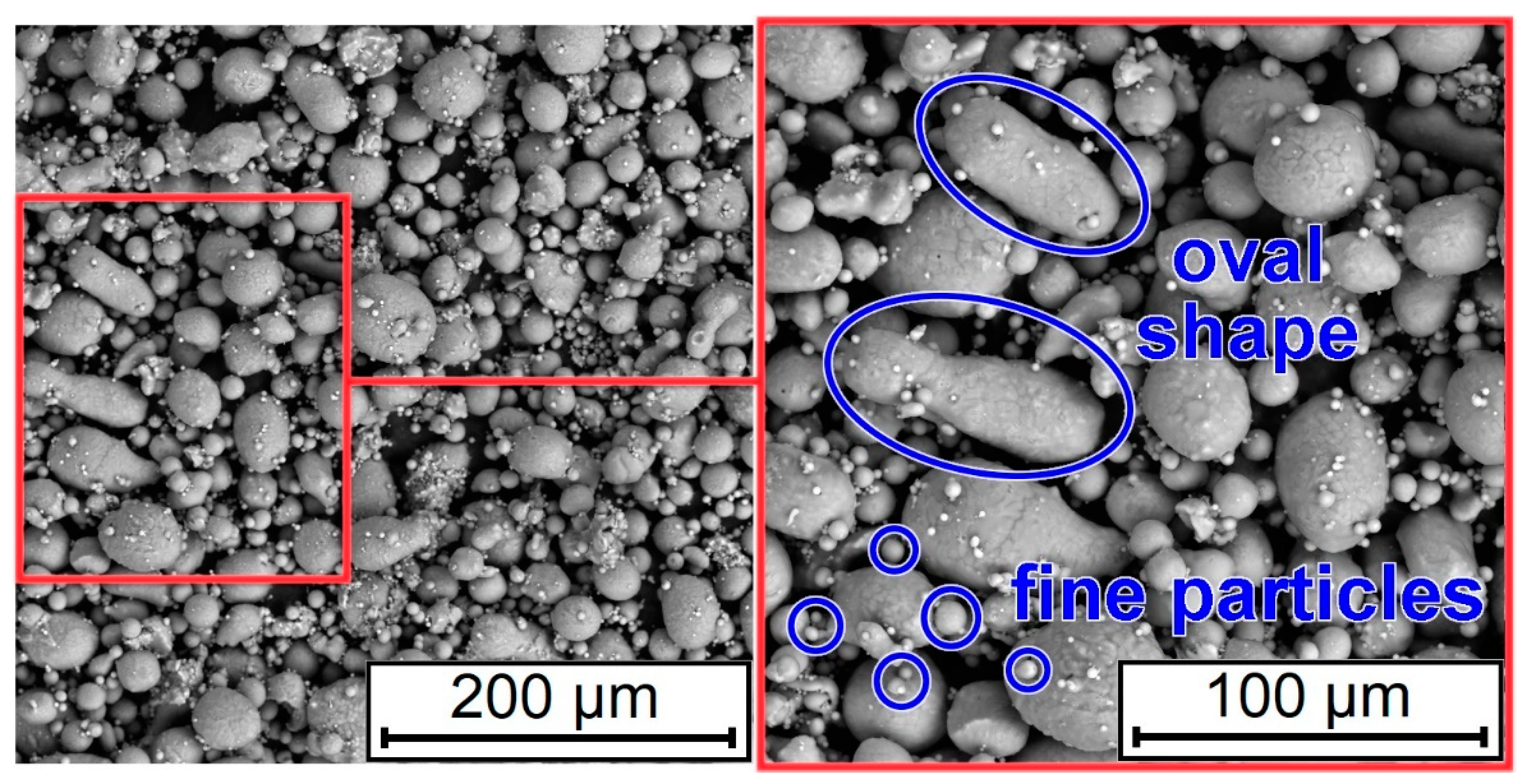 Coatings 11 00629 g004