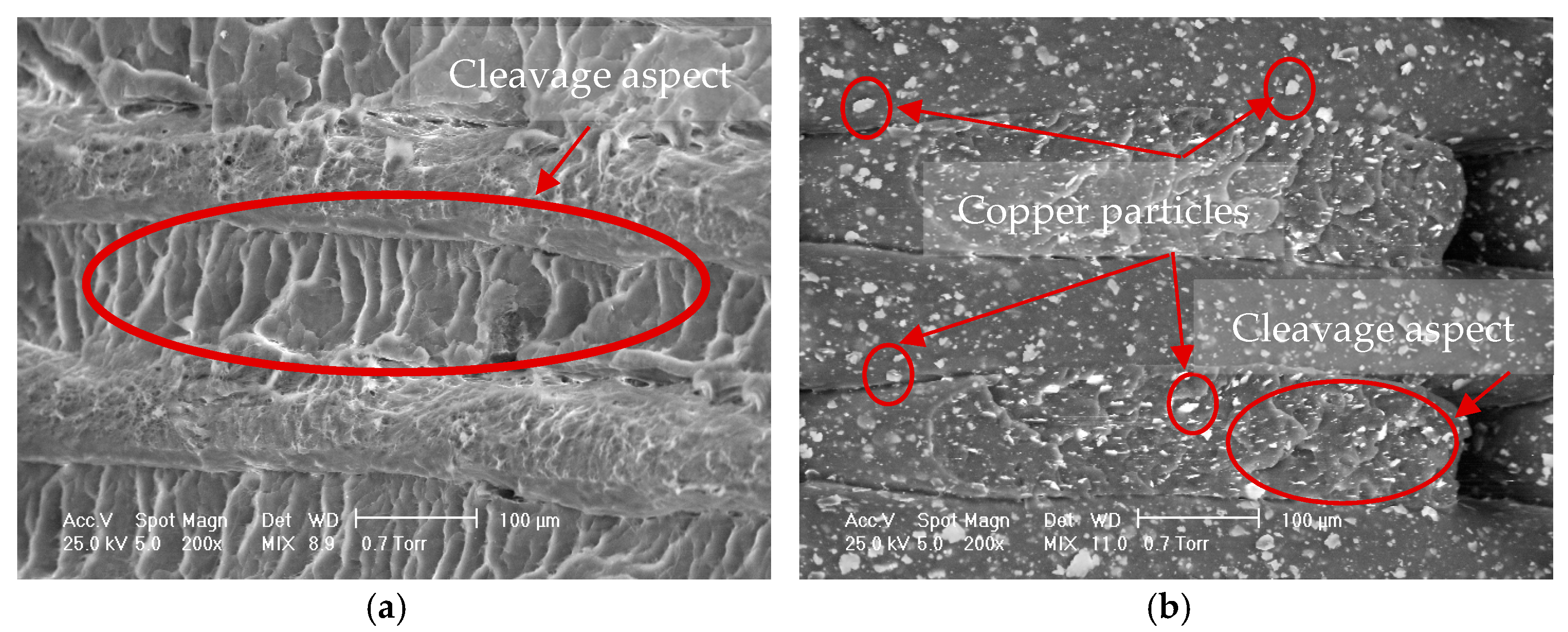 Coatings 11 00633 g011a