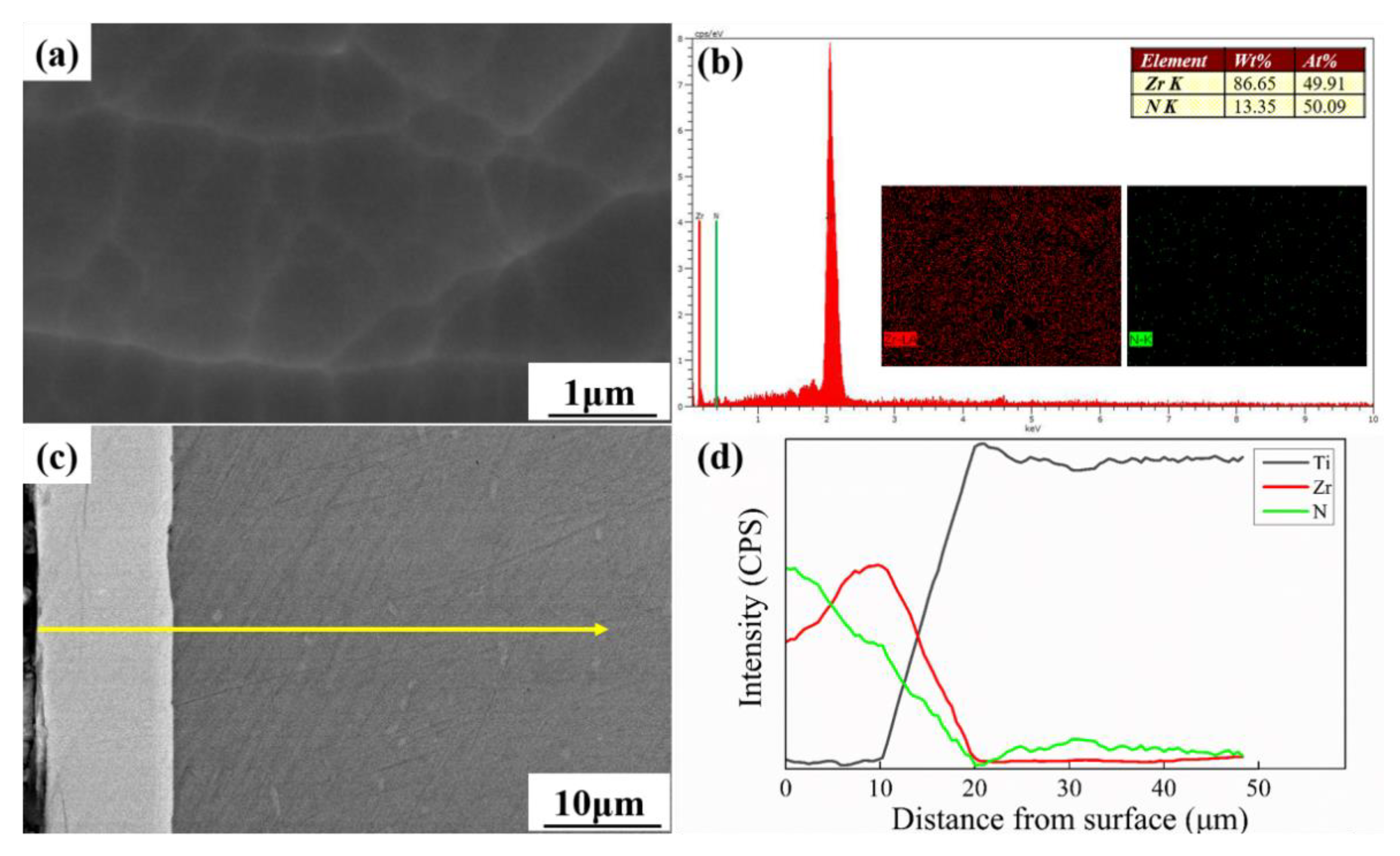 Coatings 11 00677 g001