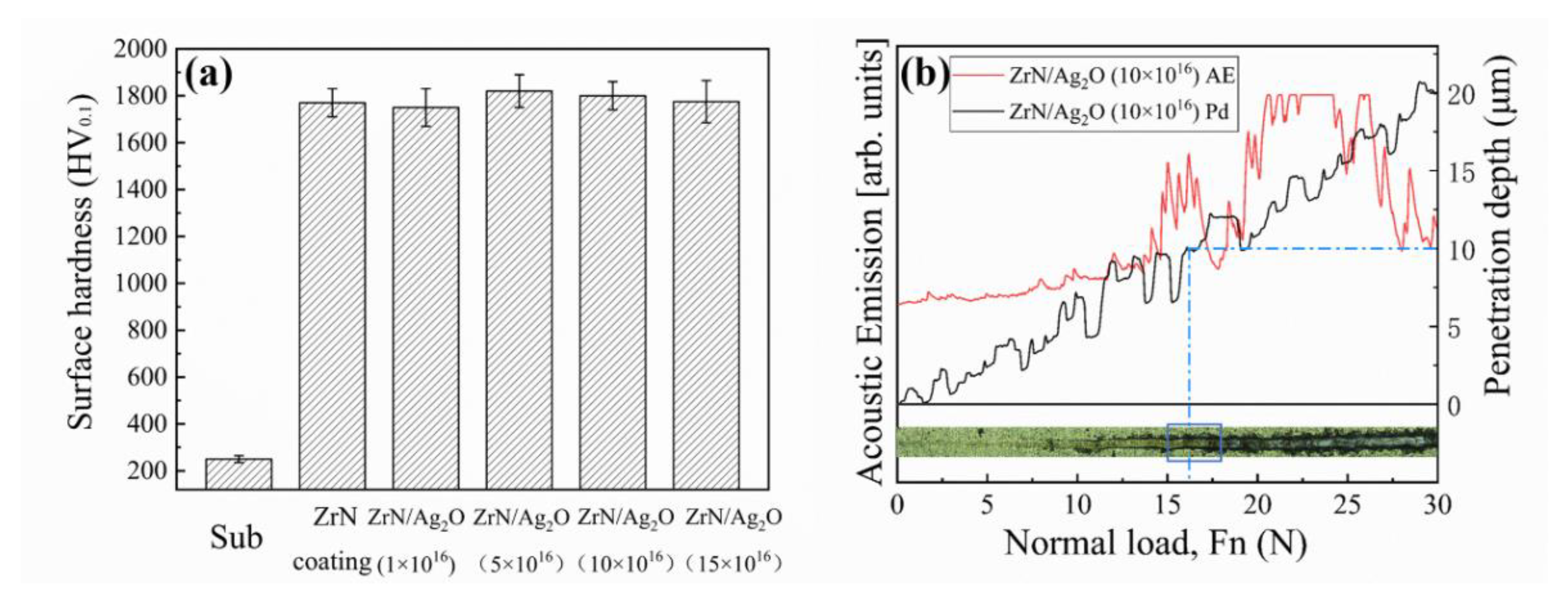 Coatings 11 00677 g005
