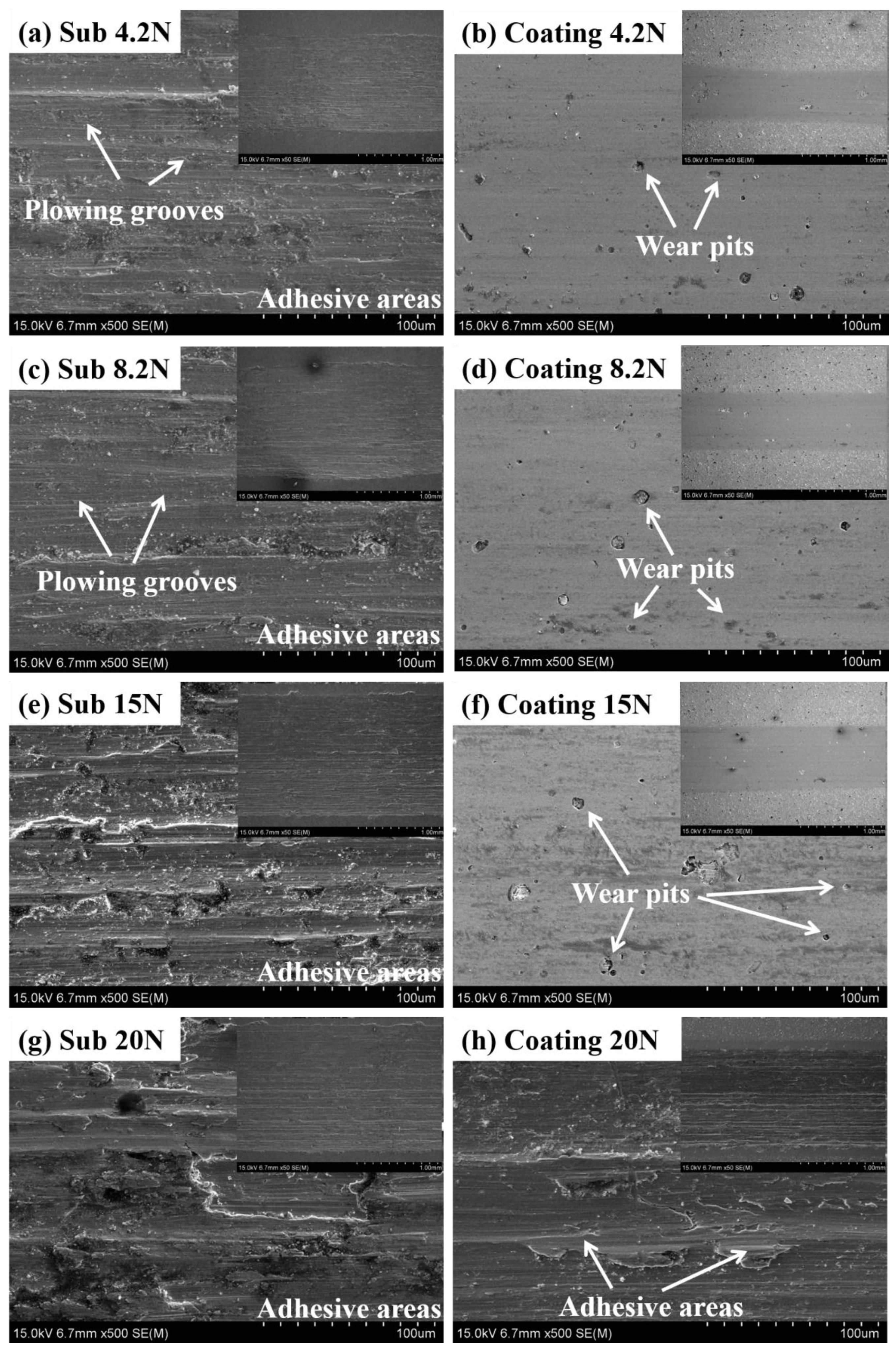 Coatings 11 00677 g008