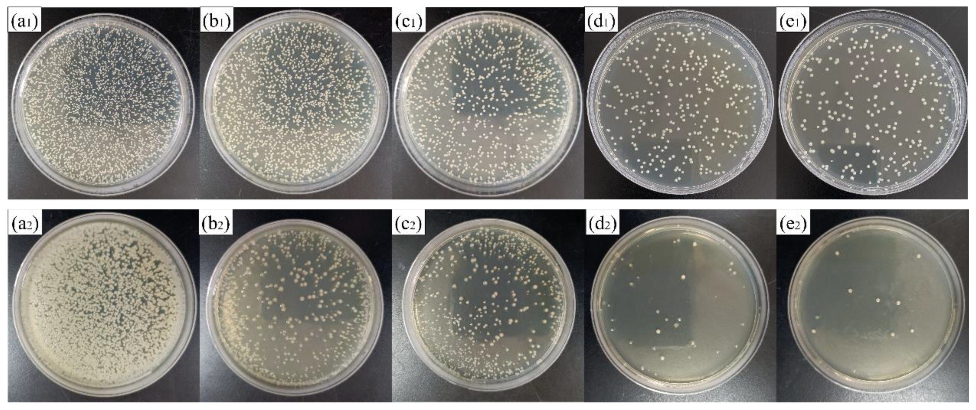 Coatings 11 00677 g010