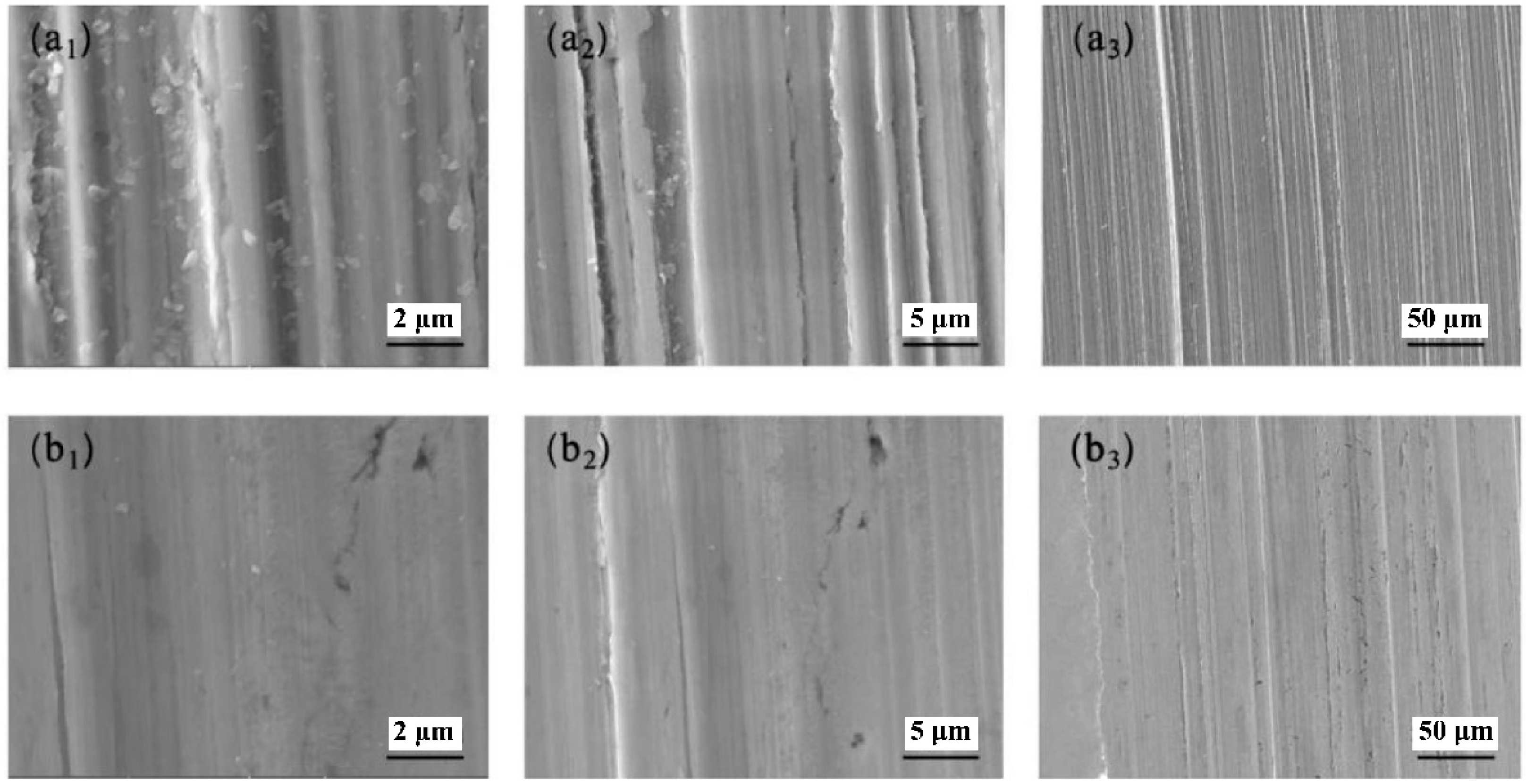 Coatings 11 00679 g013