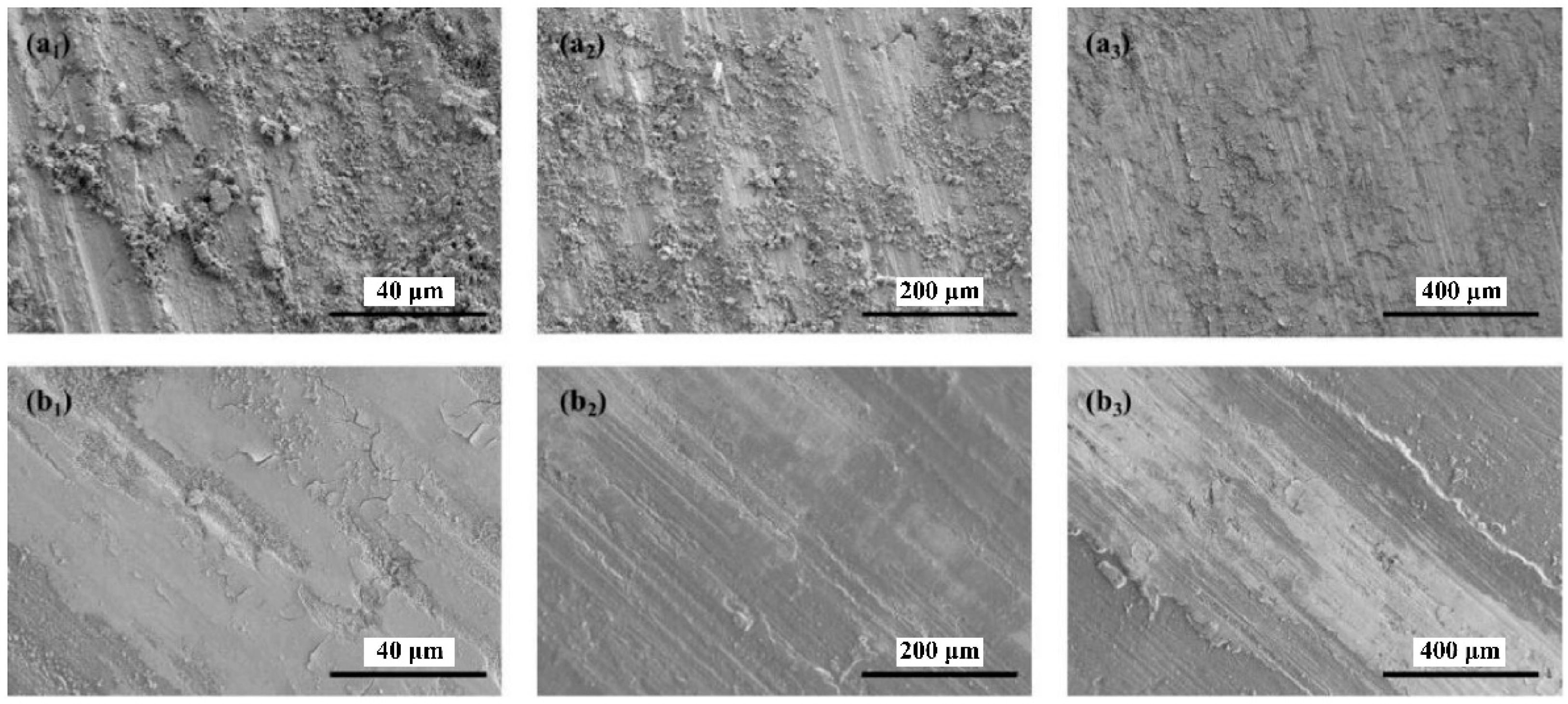 Coatings 11 00679 g016