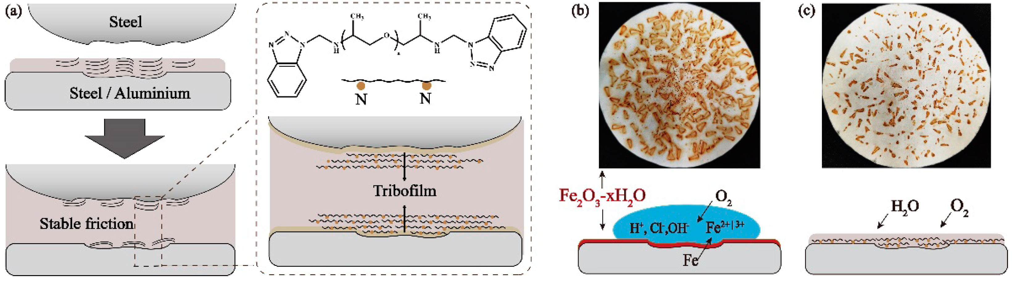 Coatings 11 00679 g019