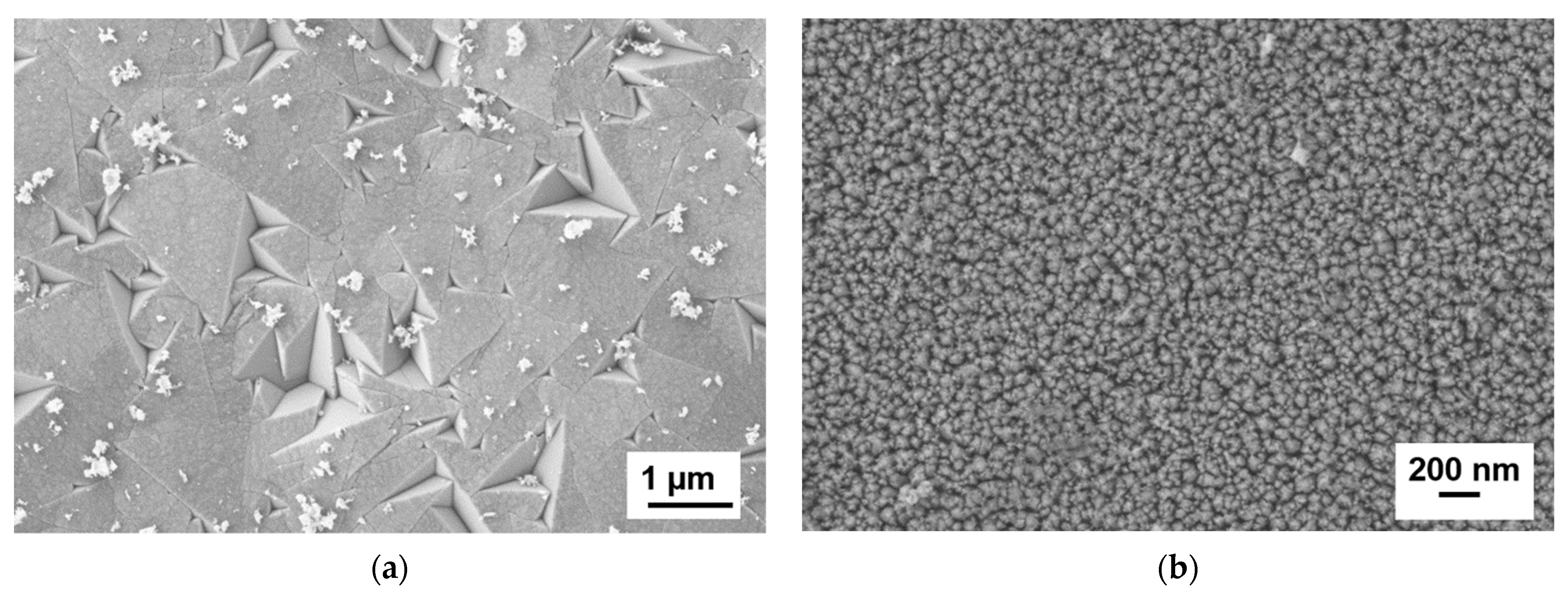 Coatings 11 00683 g005 Coatings 11 00683 g005