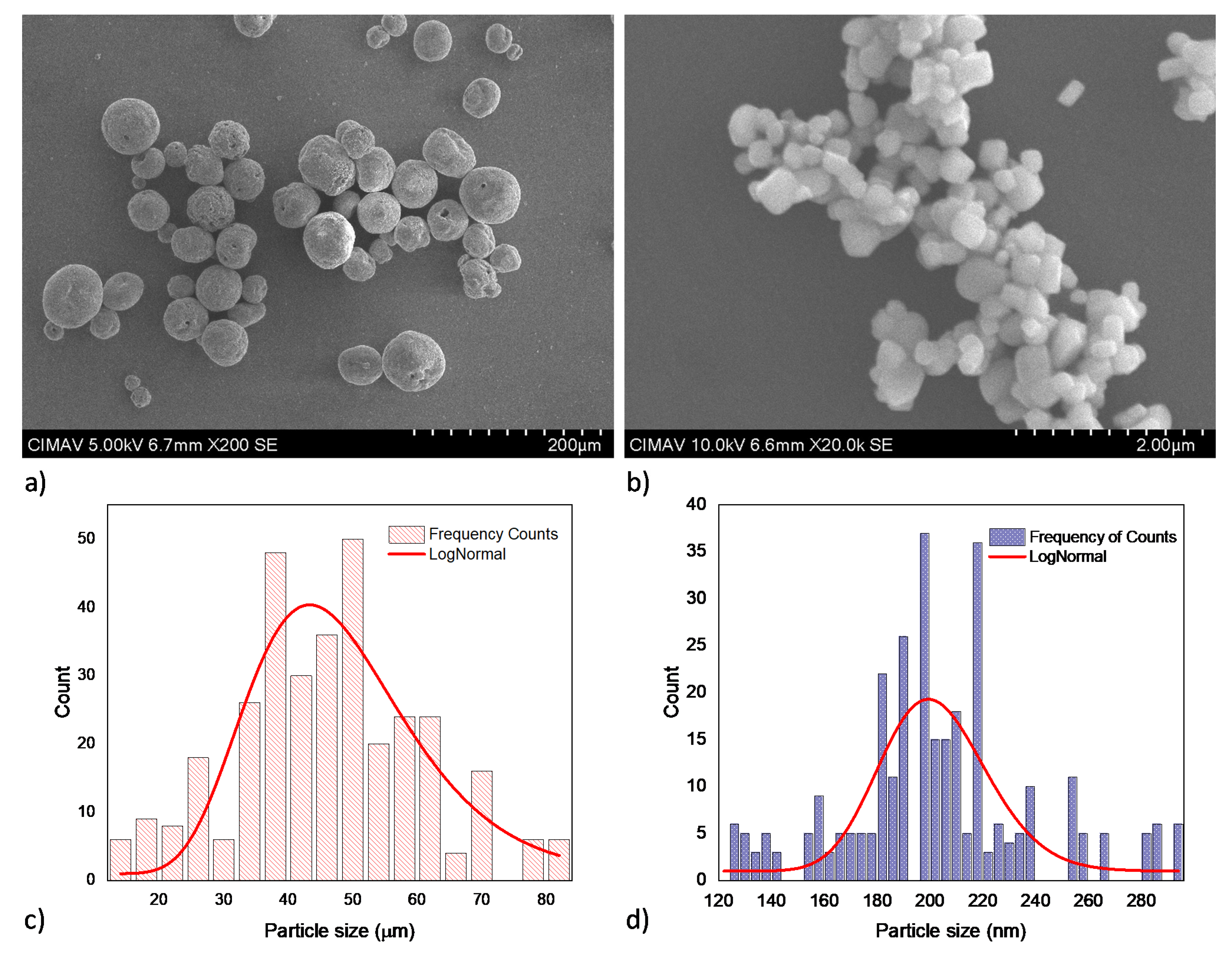 Coatings 11 00728 g001