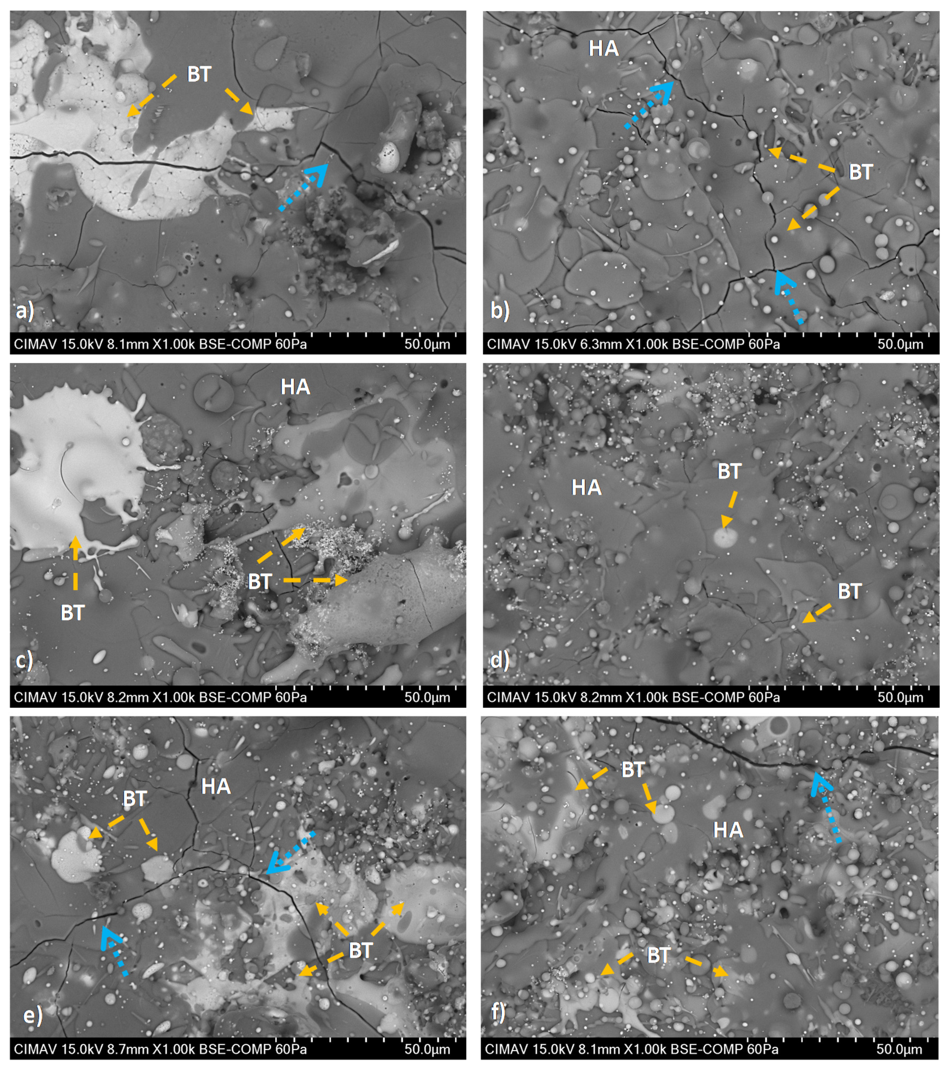 Coatings 11 00728 g006