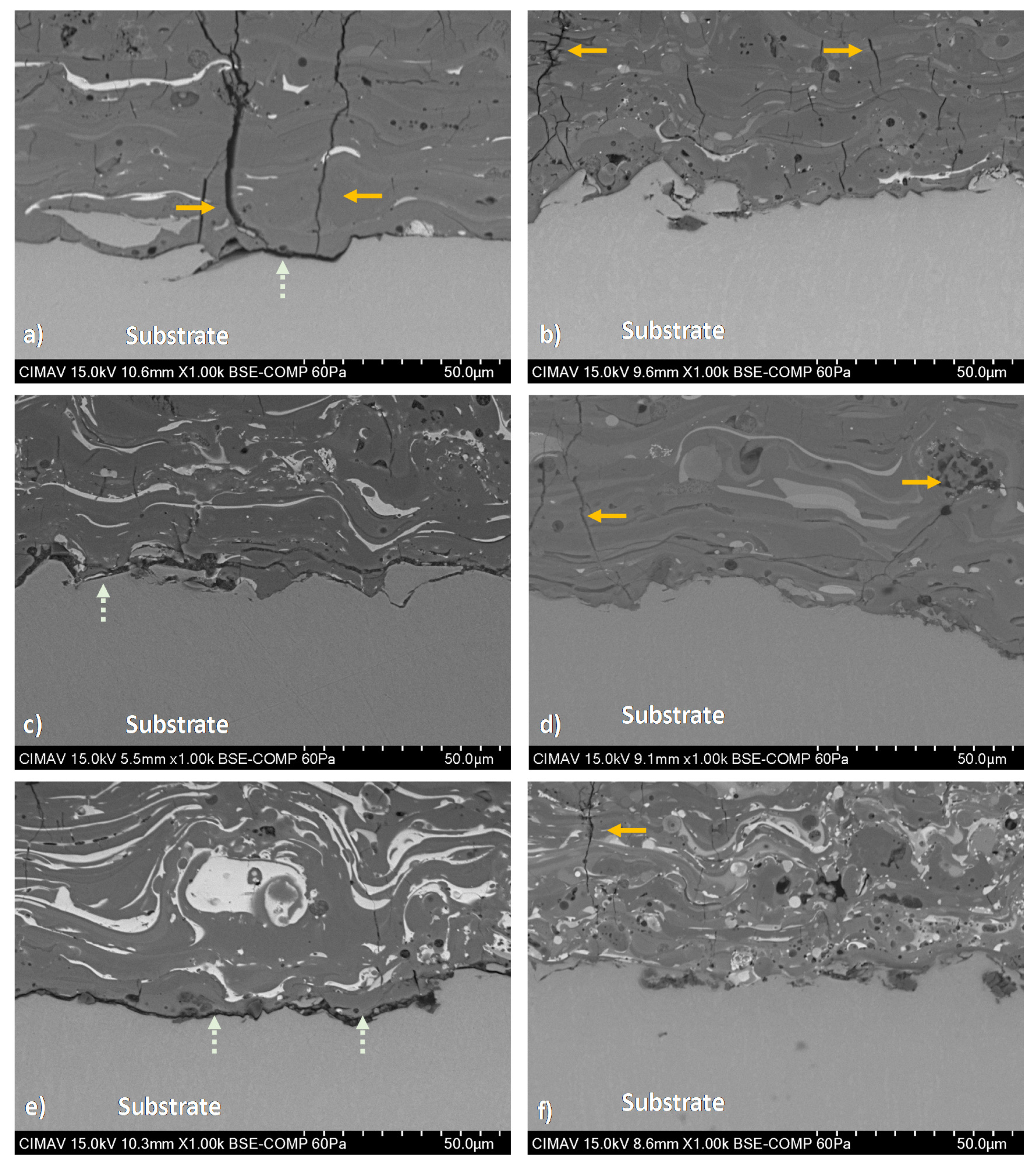 Coatings 11 00728 g007