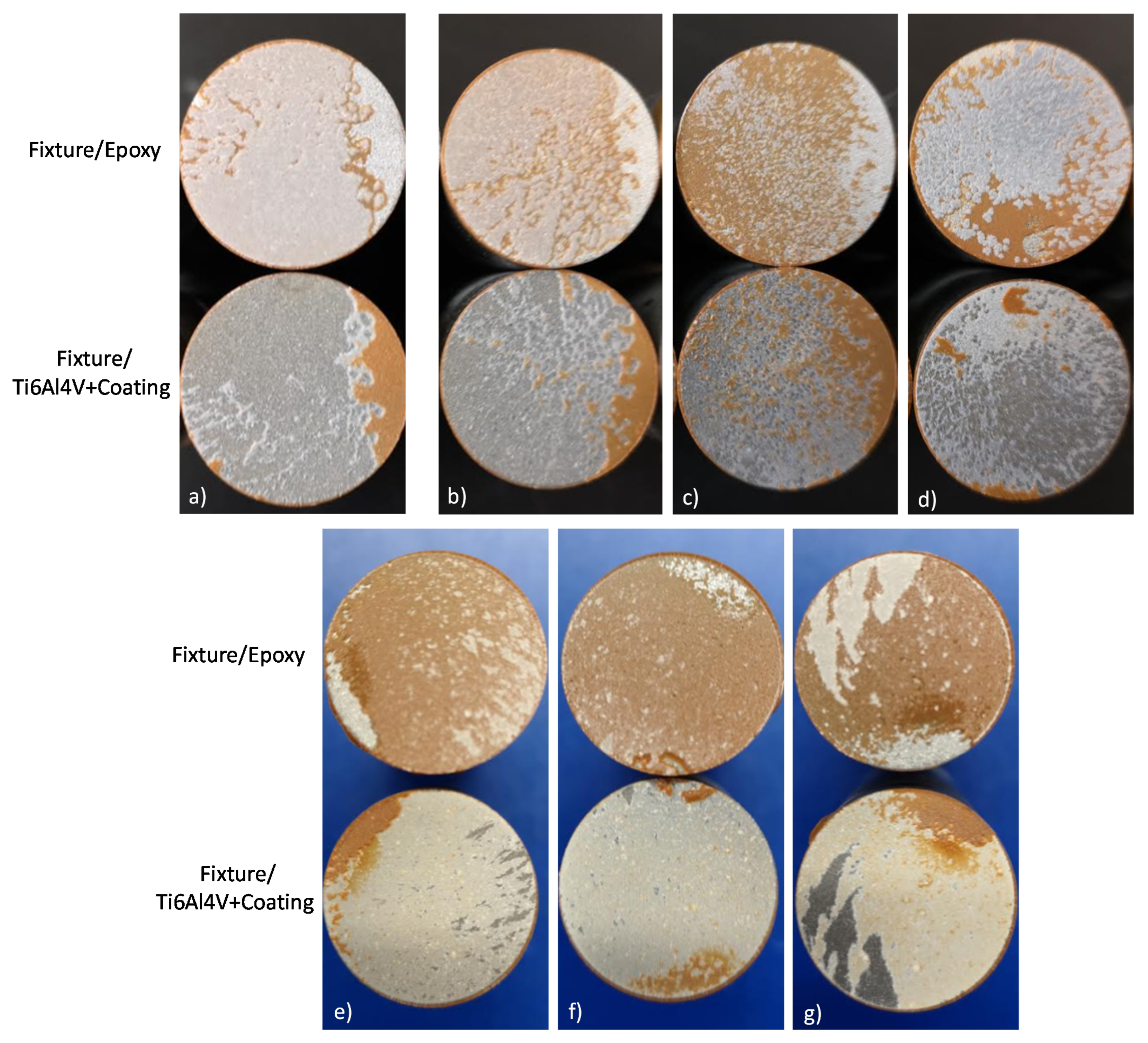Coatings 11 00728 g014