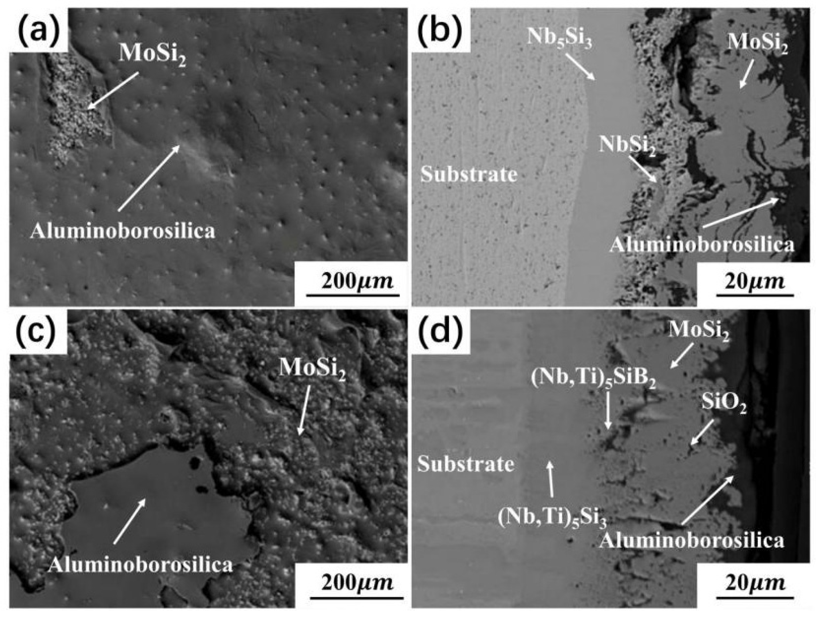 Progress in Niobium Oxide-Containing Coatings for Biomedical