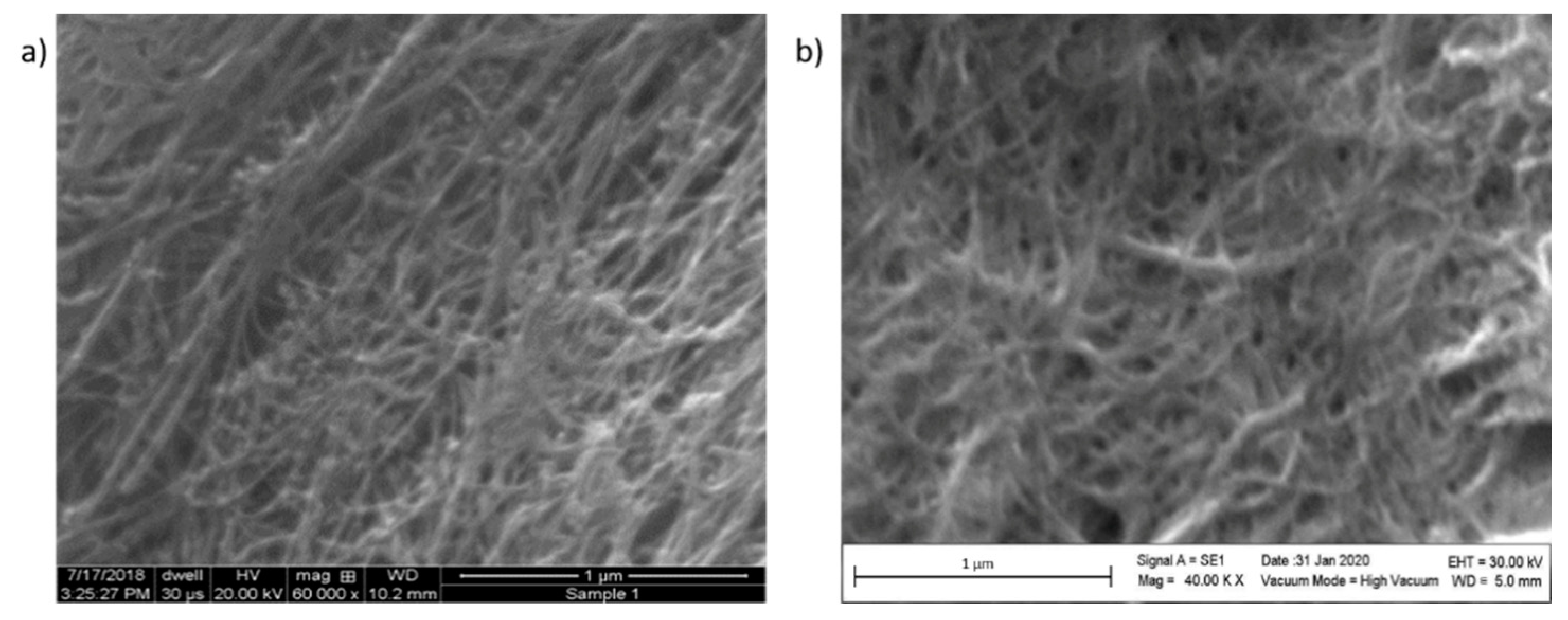Coatings 11 00743 g005