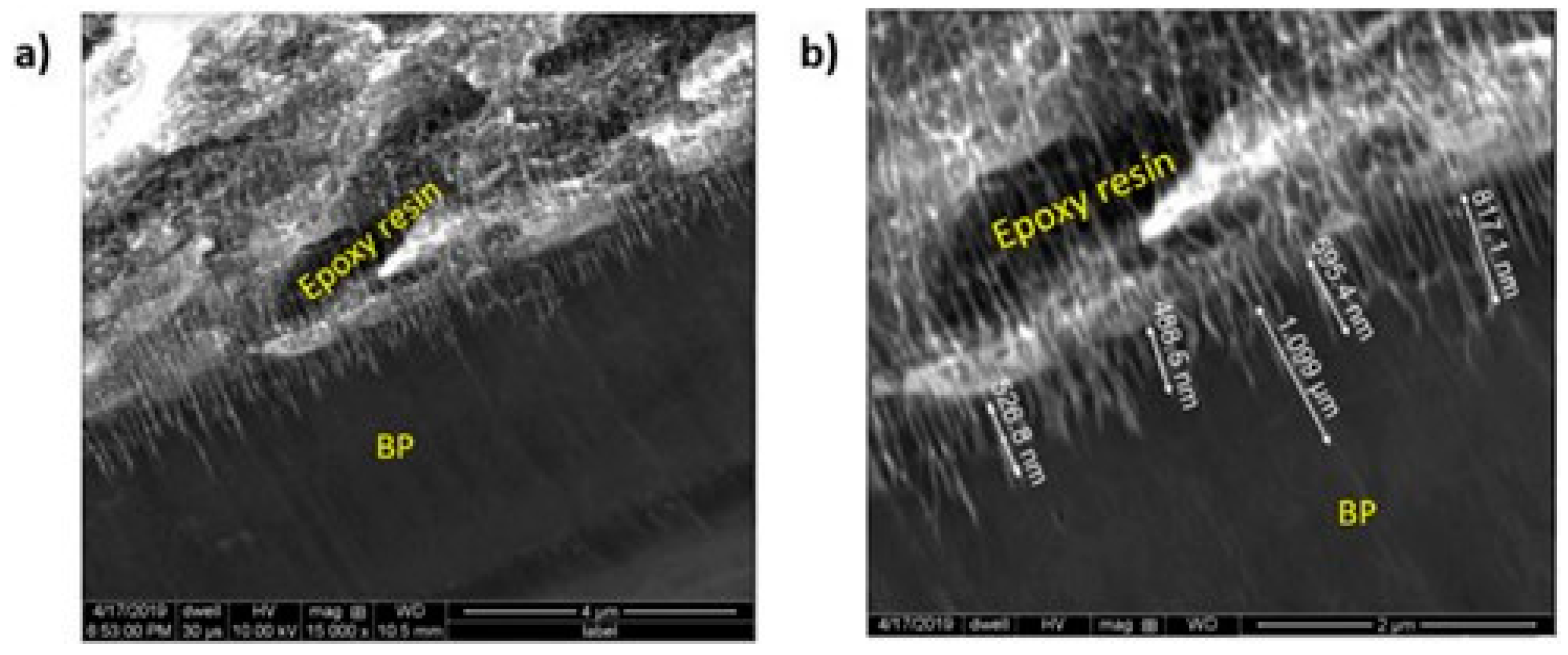 Coatings 11 00743 g010