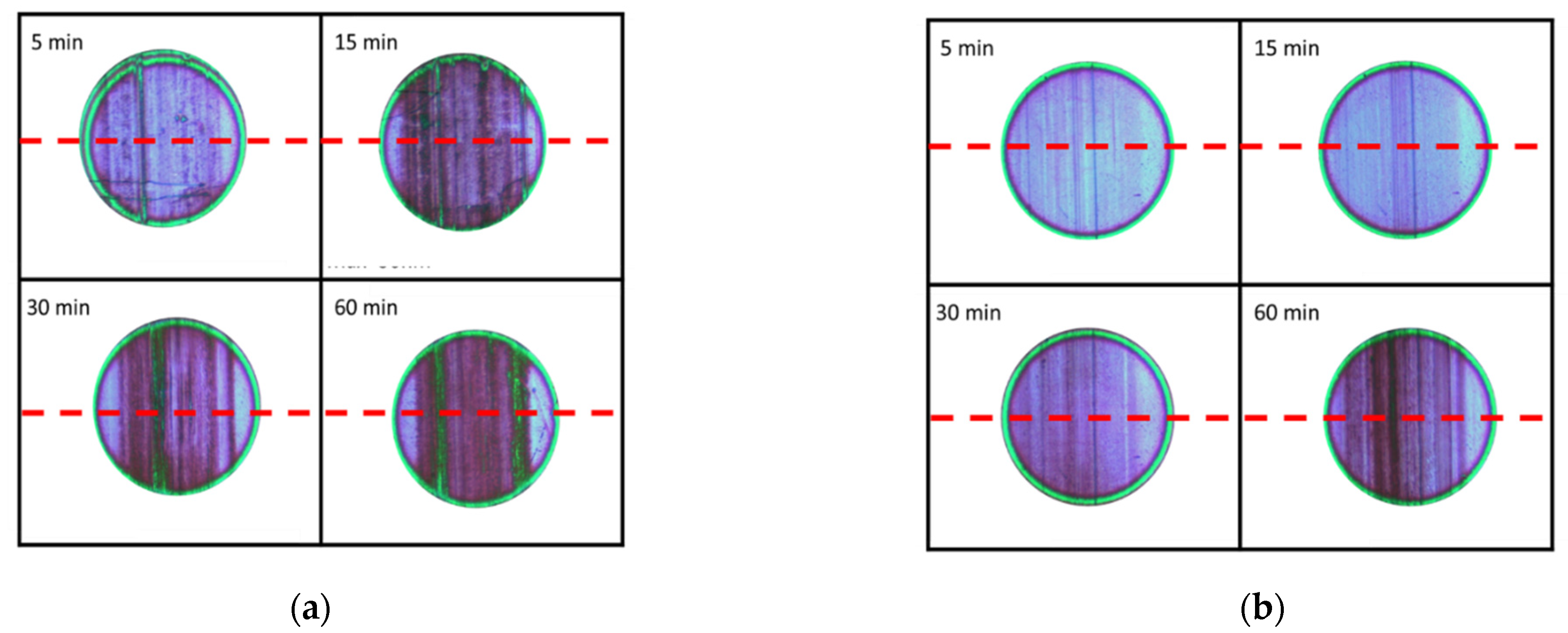 Coatings 11 00746 g012a
