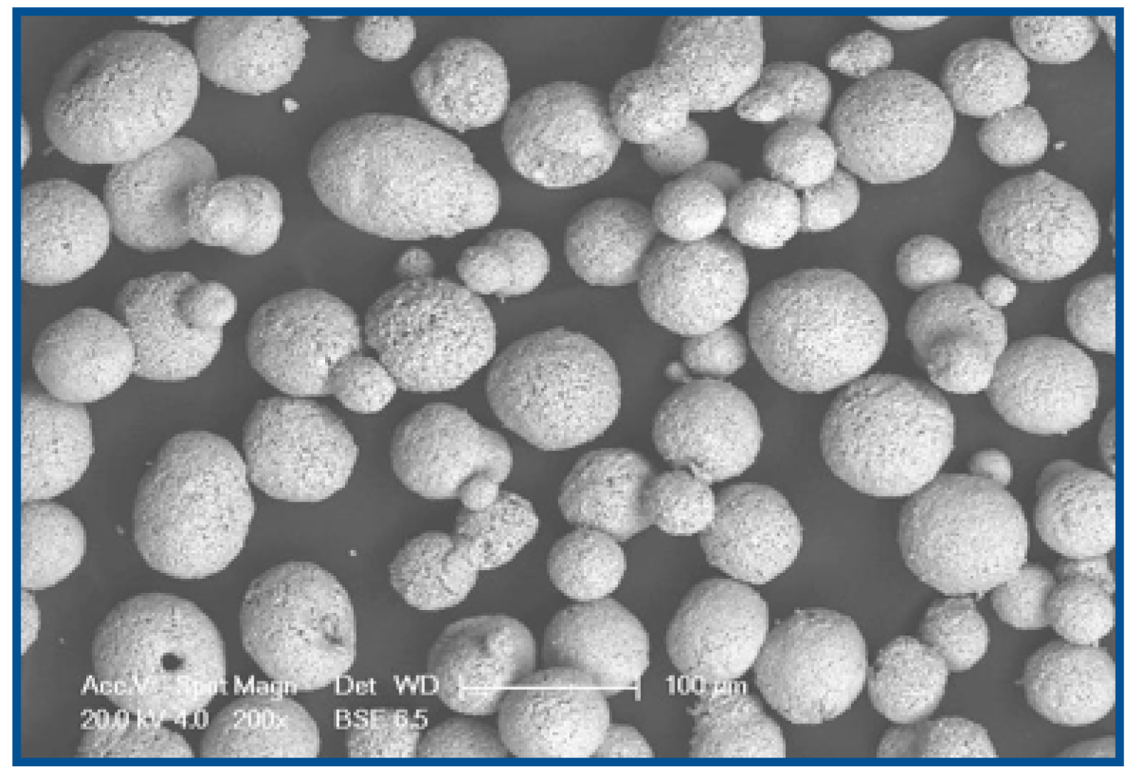 Coatings 11 00765 g002