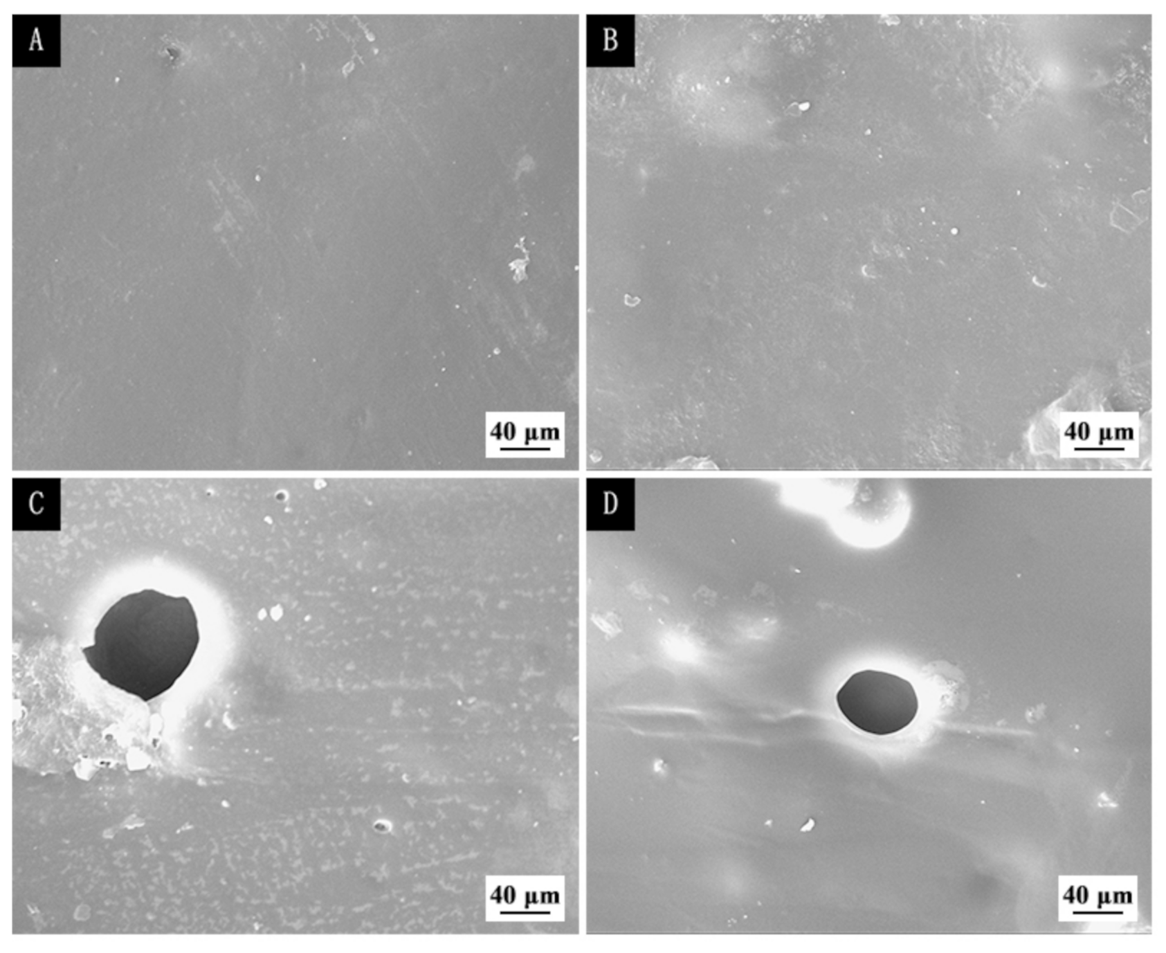 Coatings 11 00785 g010