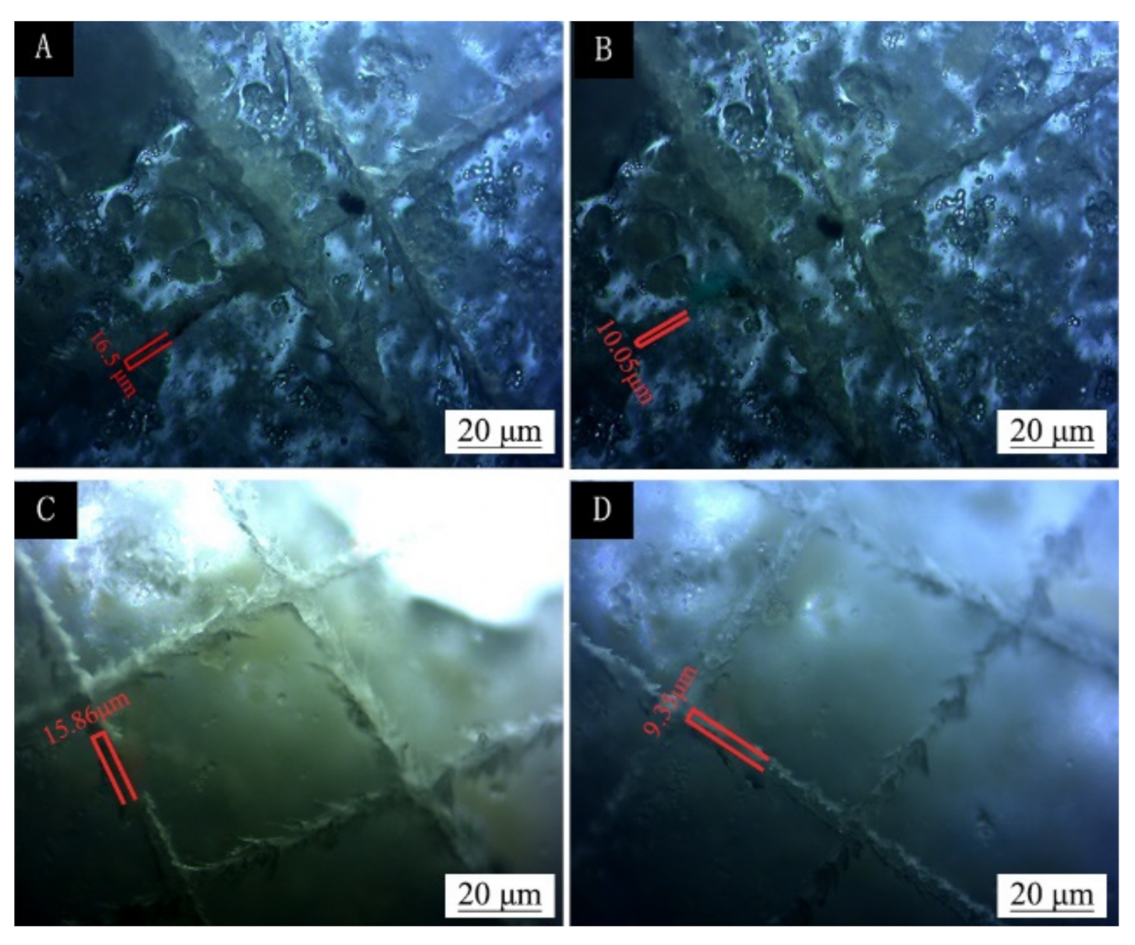 Coatings 11 00785 g012