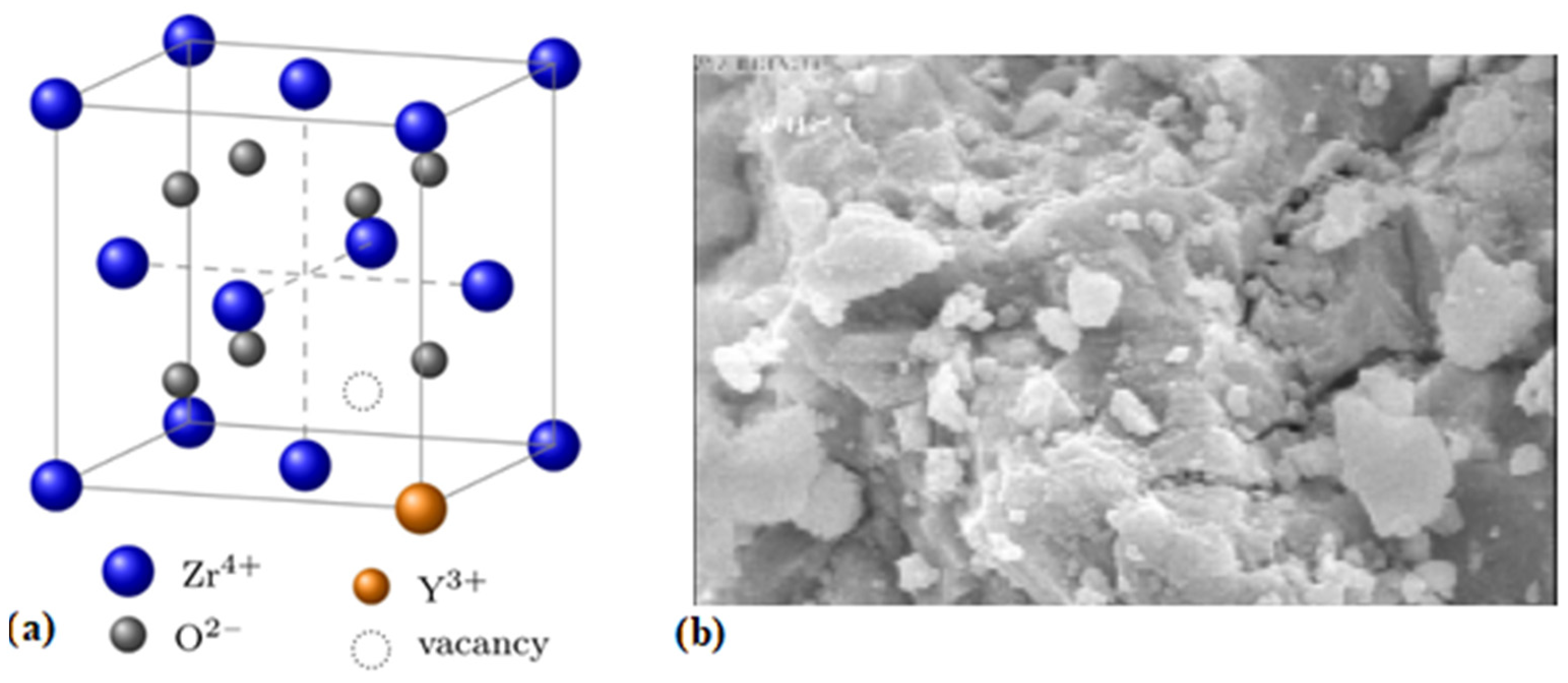 Coatings 11 00792 g002