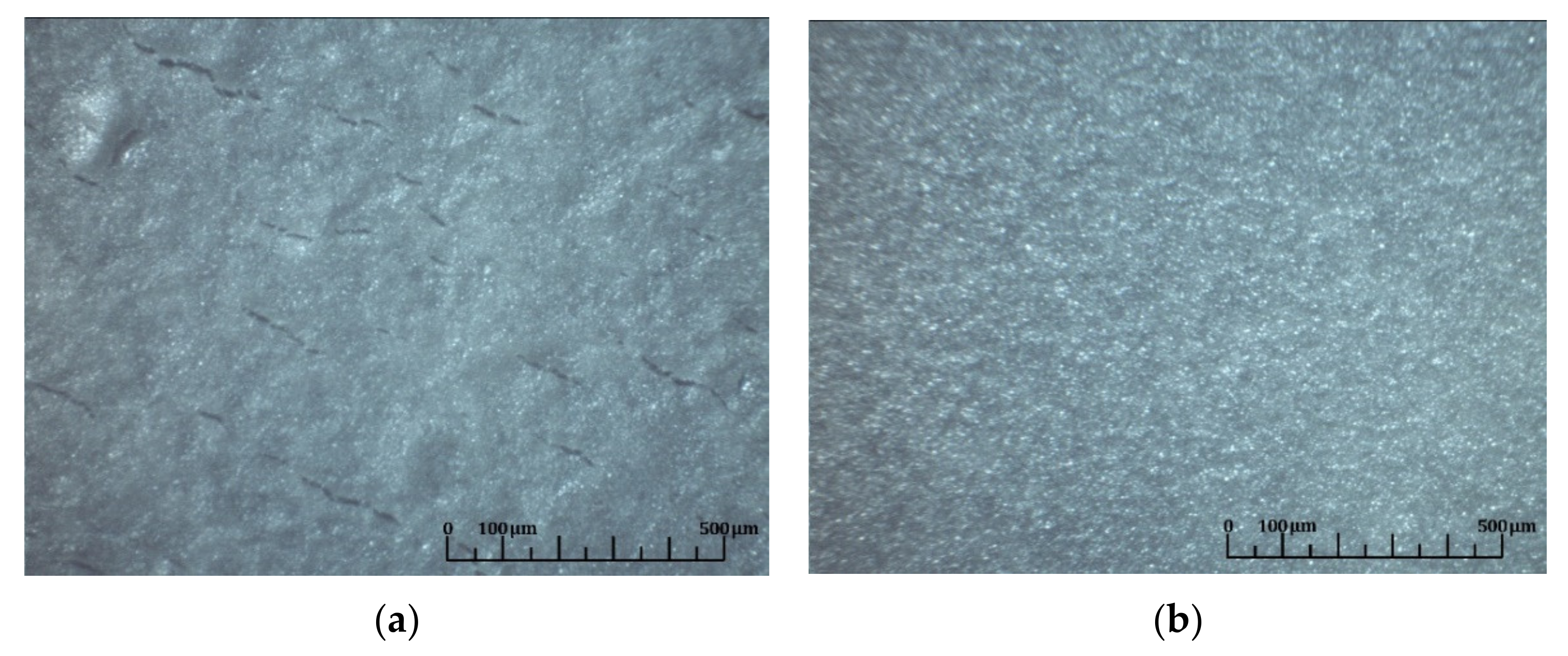 Coatings 11 00805 g013 Coatings 11 00805 g013