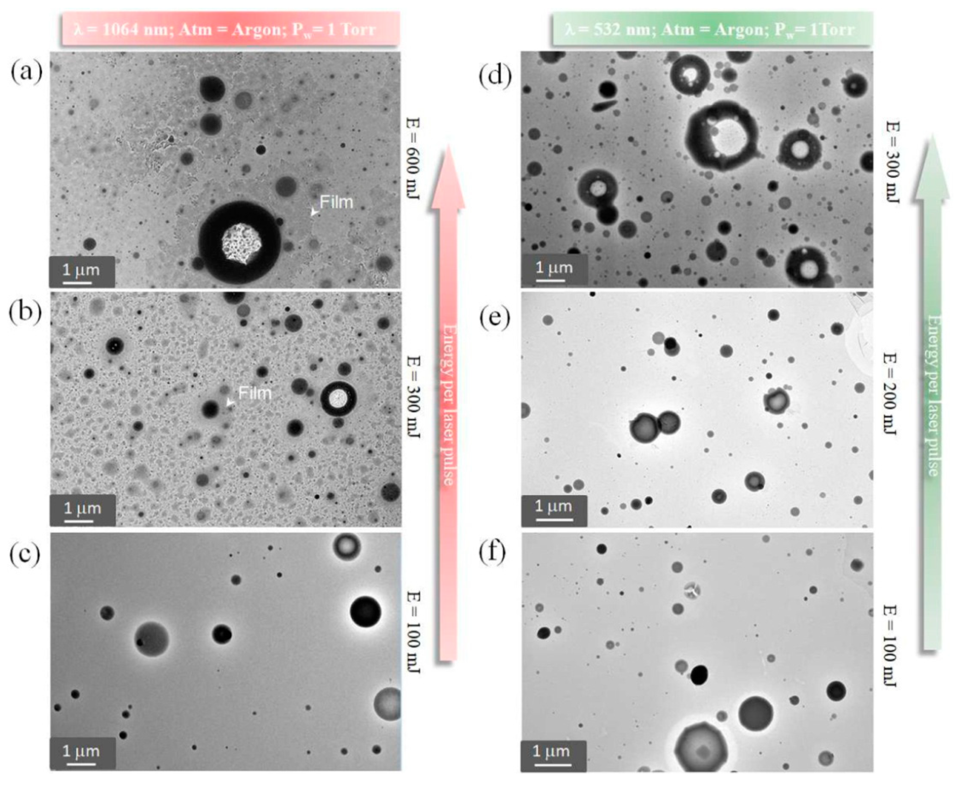 Coatings 11 00811 g002