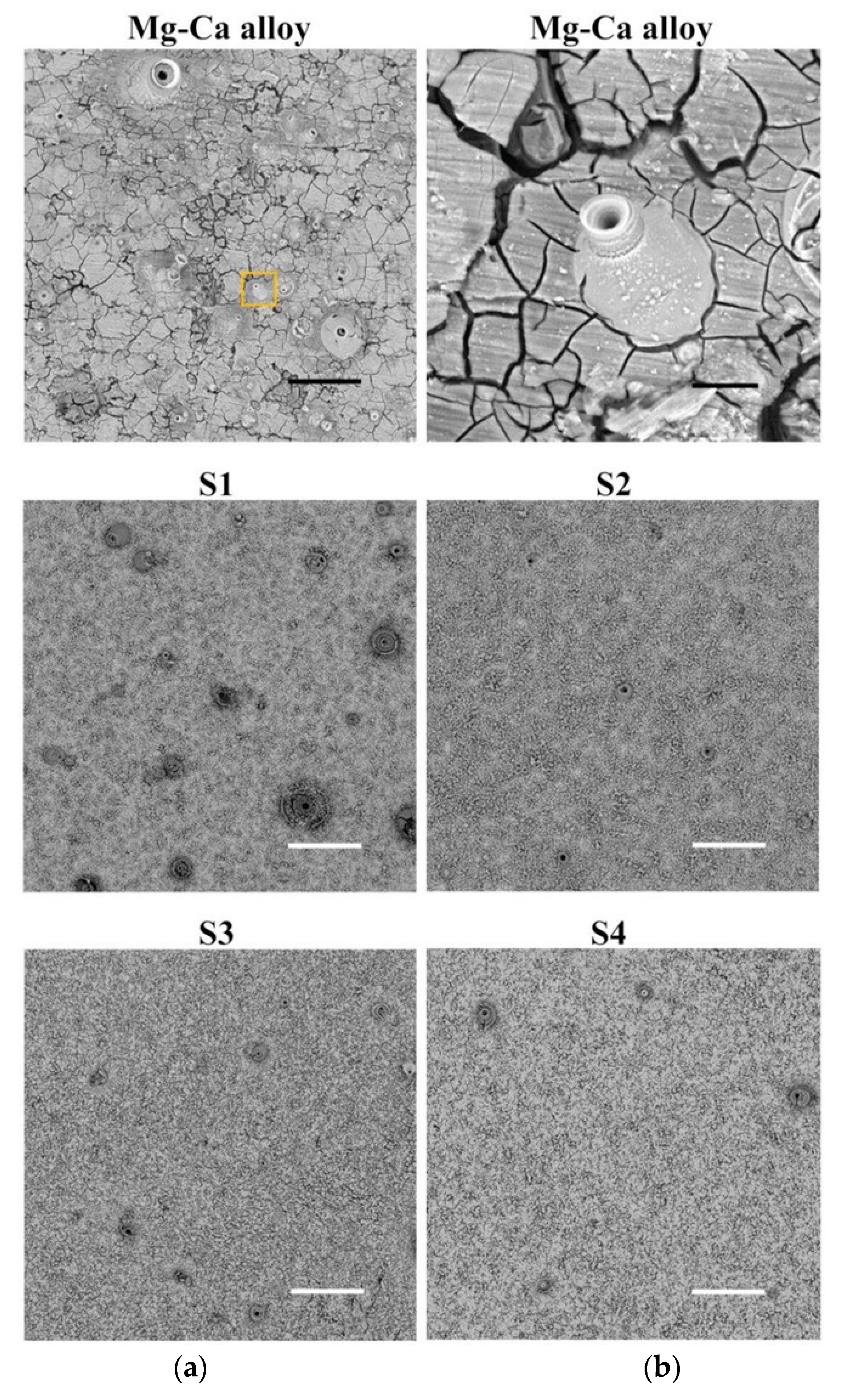 Coatings 11 00811 g003