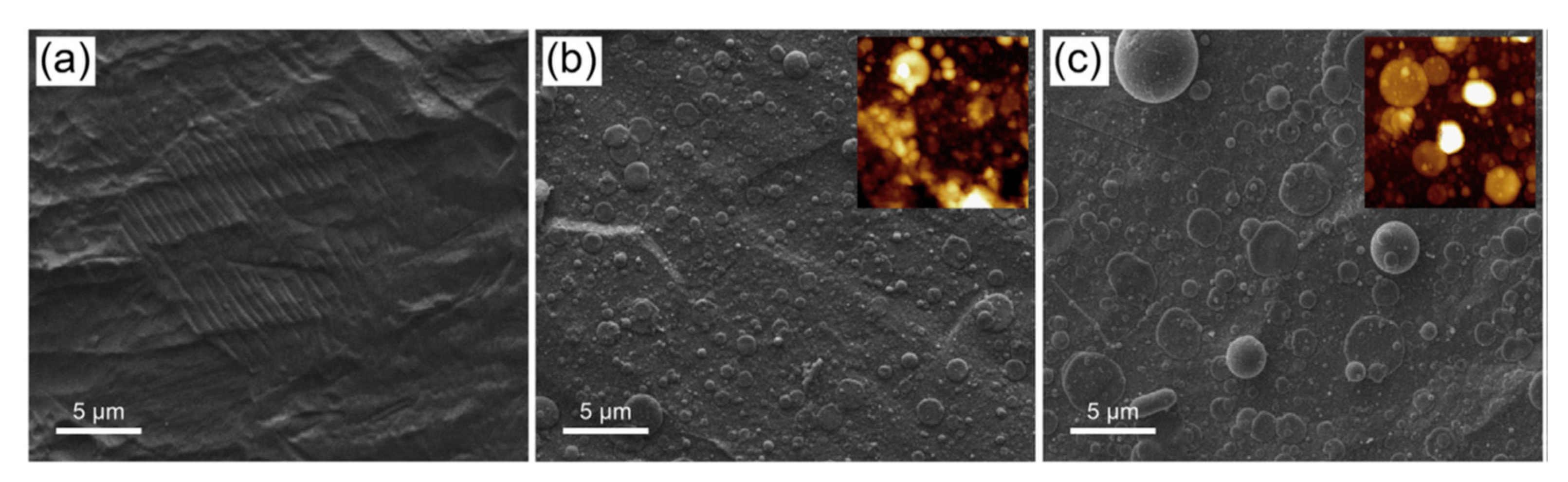 Coatings 11 00811 g004