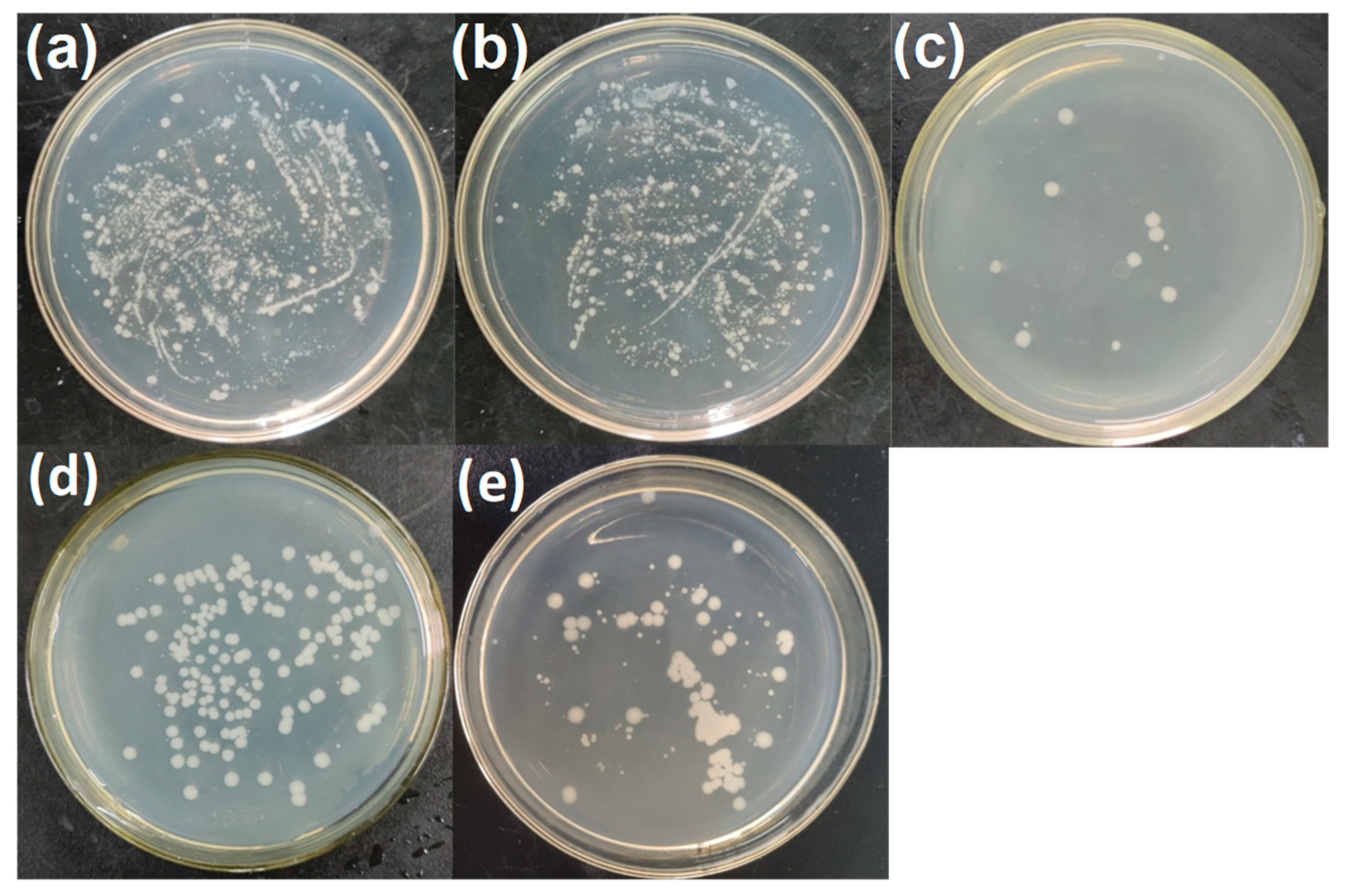 Coatings 11 00816 g008