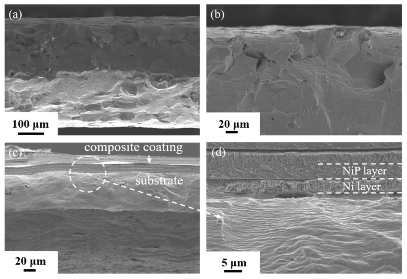 Coatings 11 00834 g004